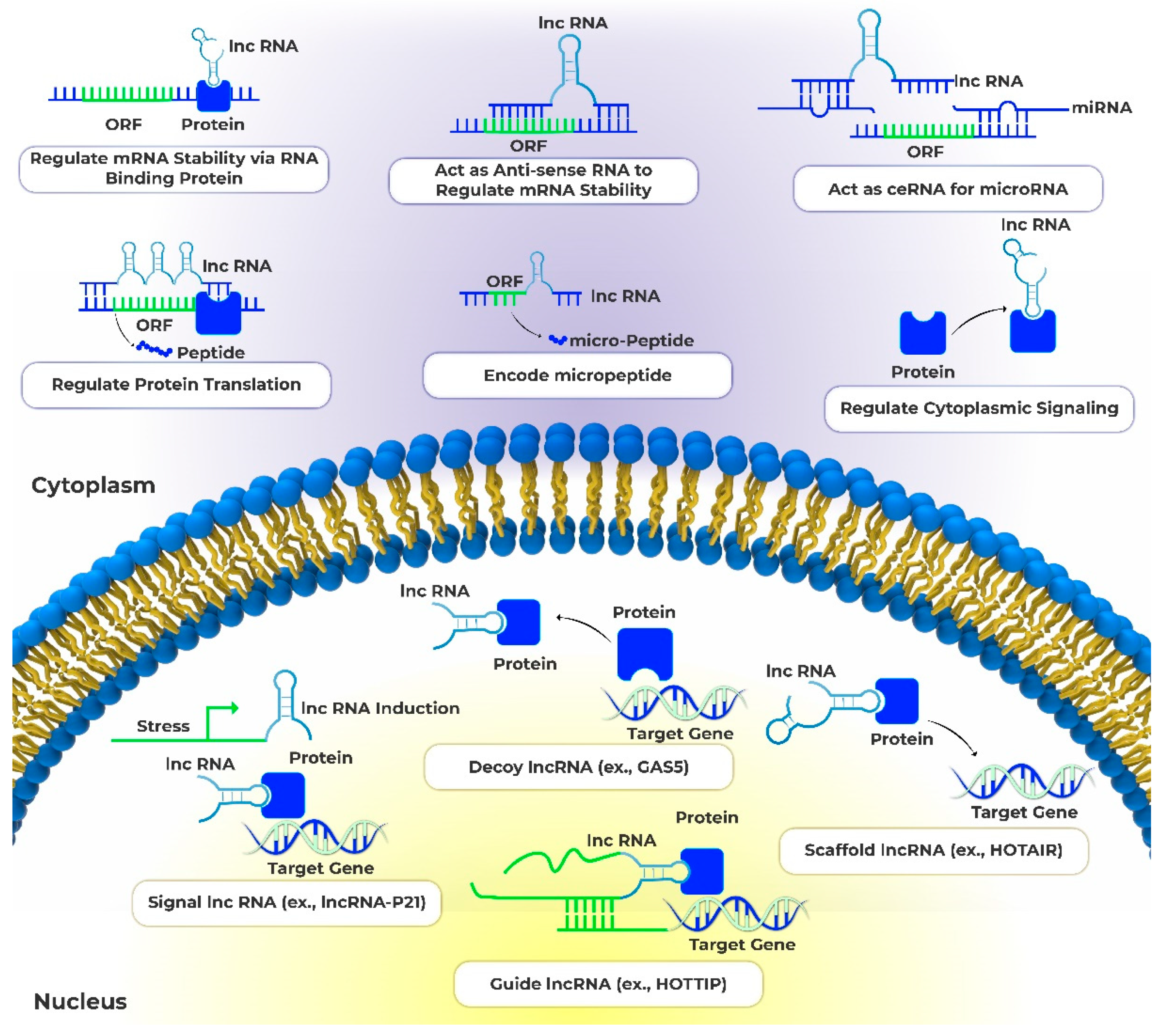 Preprints 80663 g001