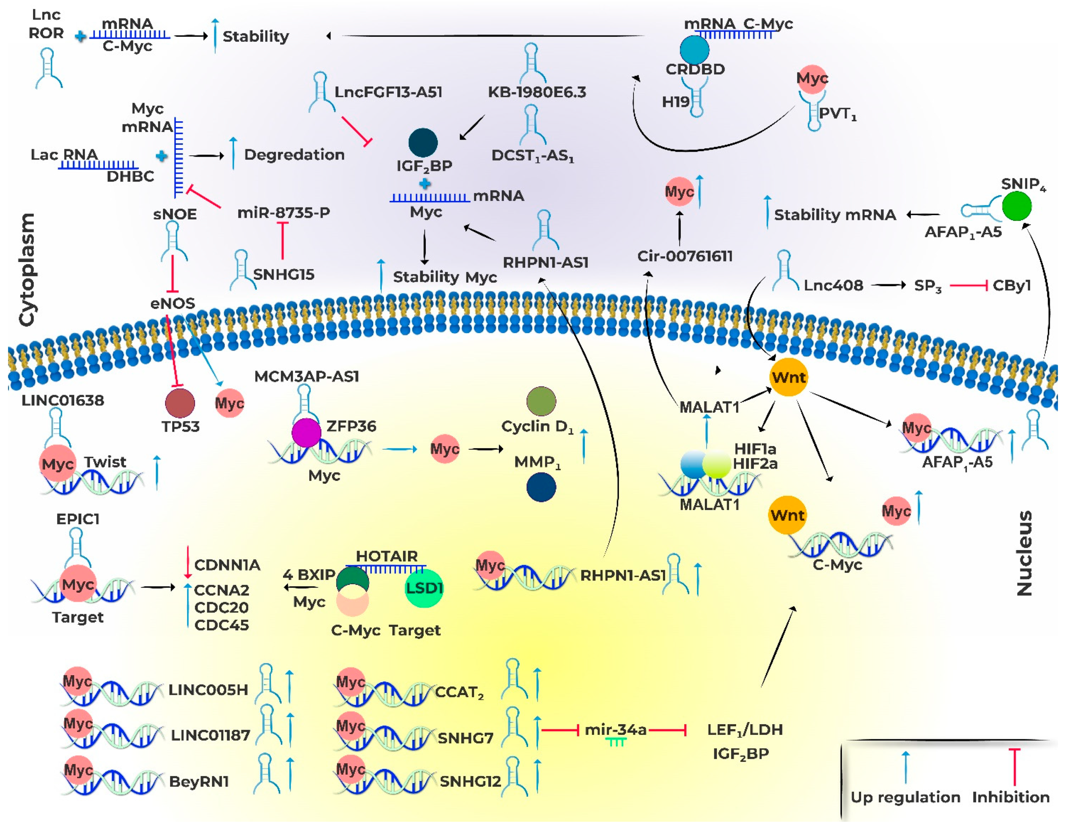 Preprints 80663 g002