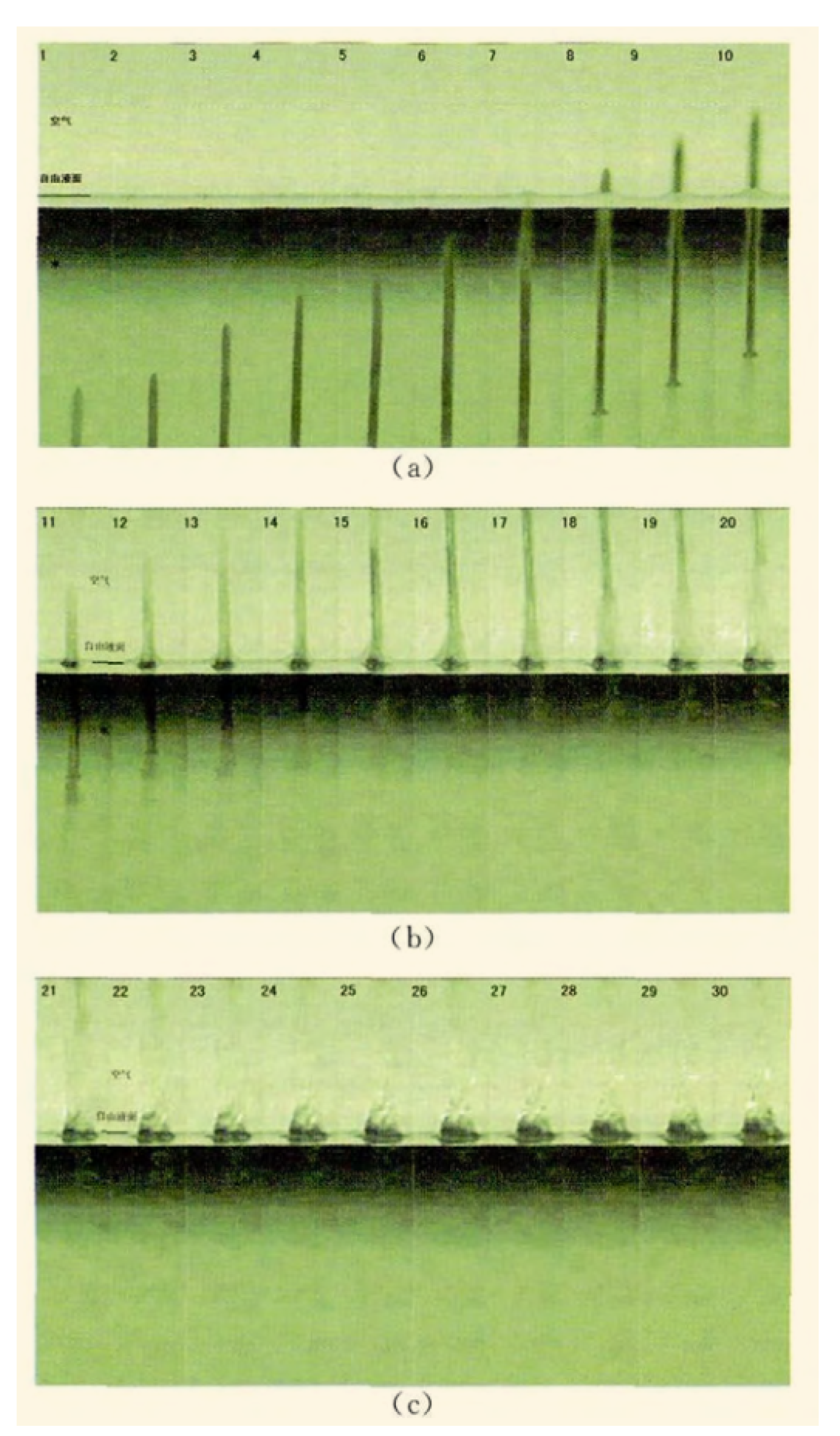 Preprints 115865 g009