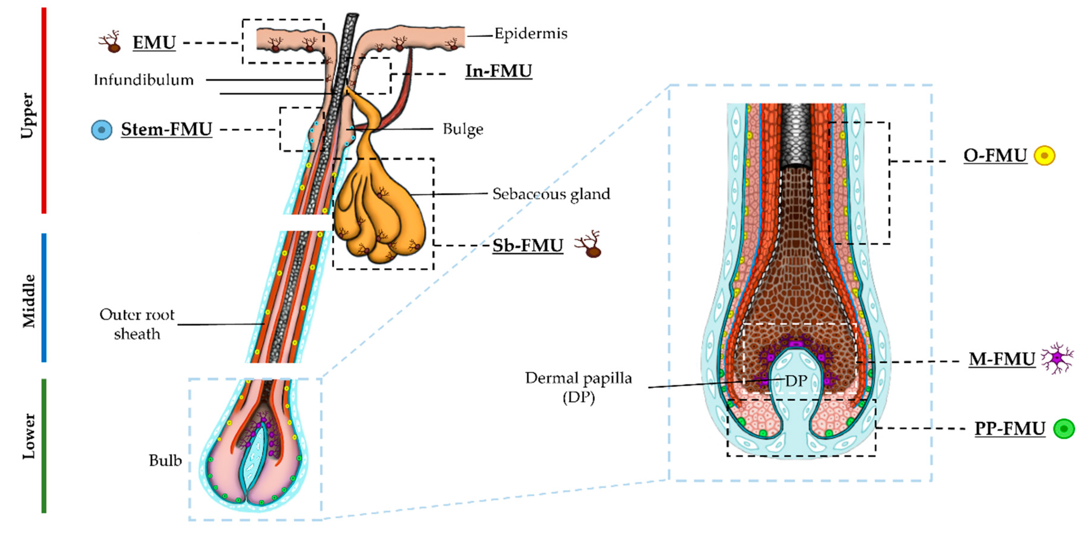 Preprints 78716 g001