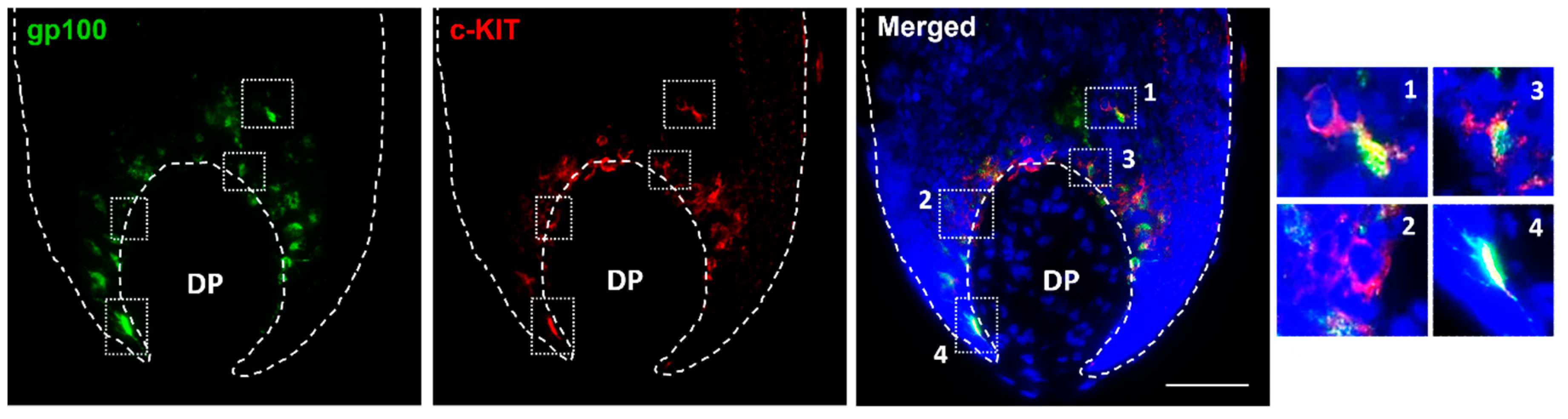 Preprints 78716 g004