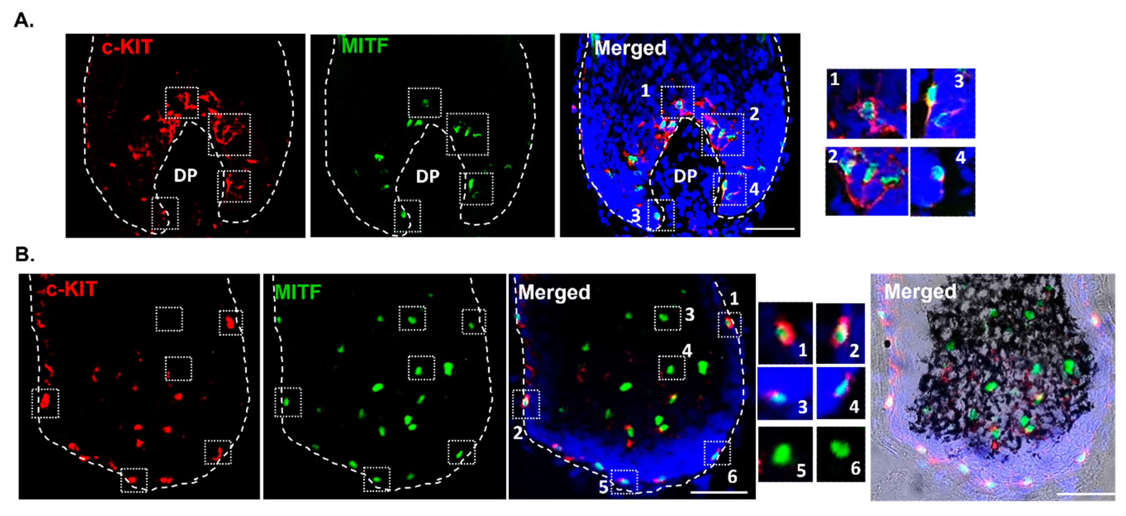 Preprints 78716 g005