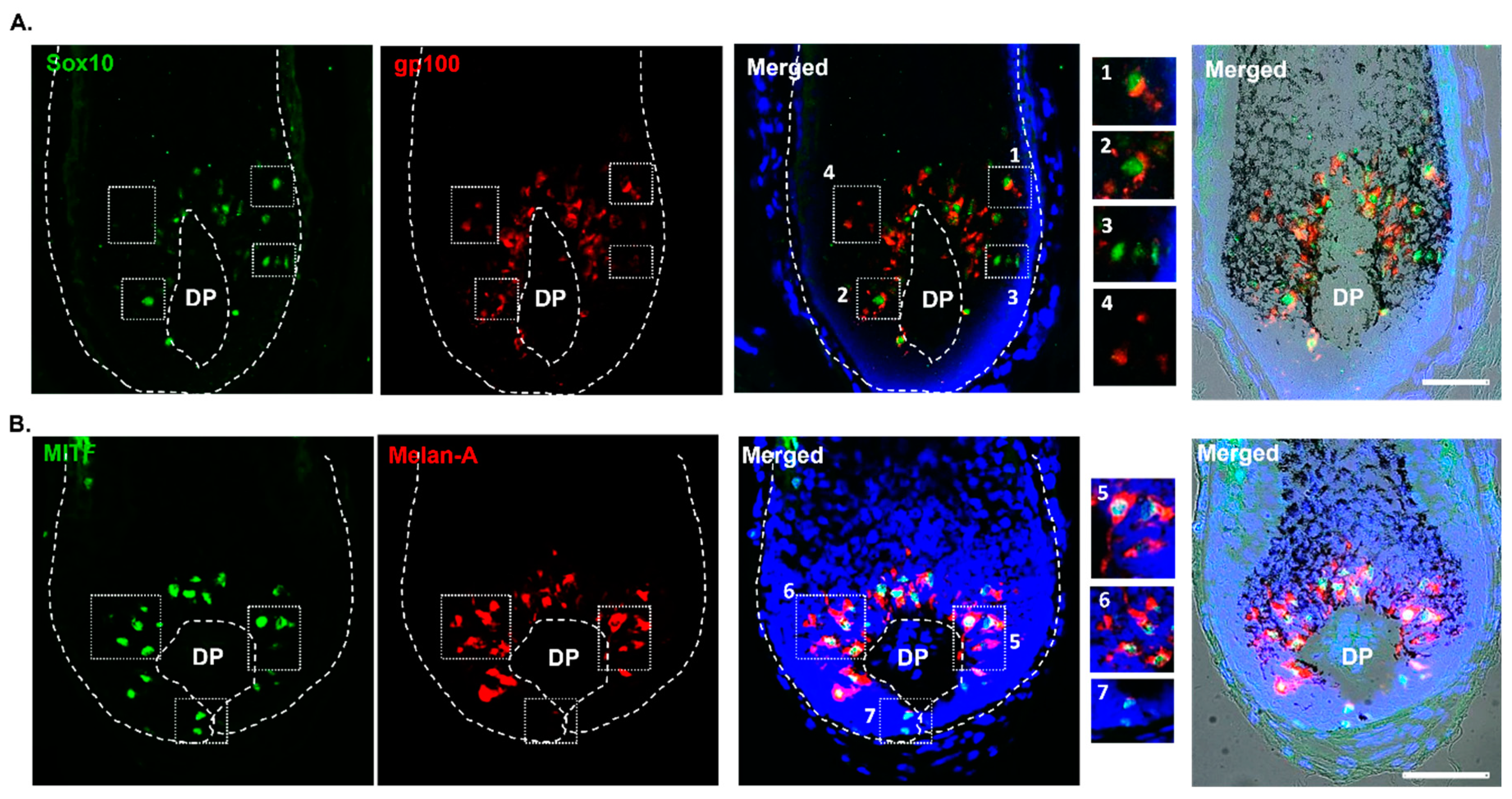 Preprints 78716 g006