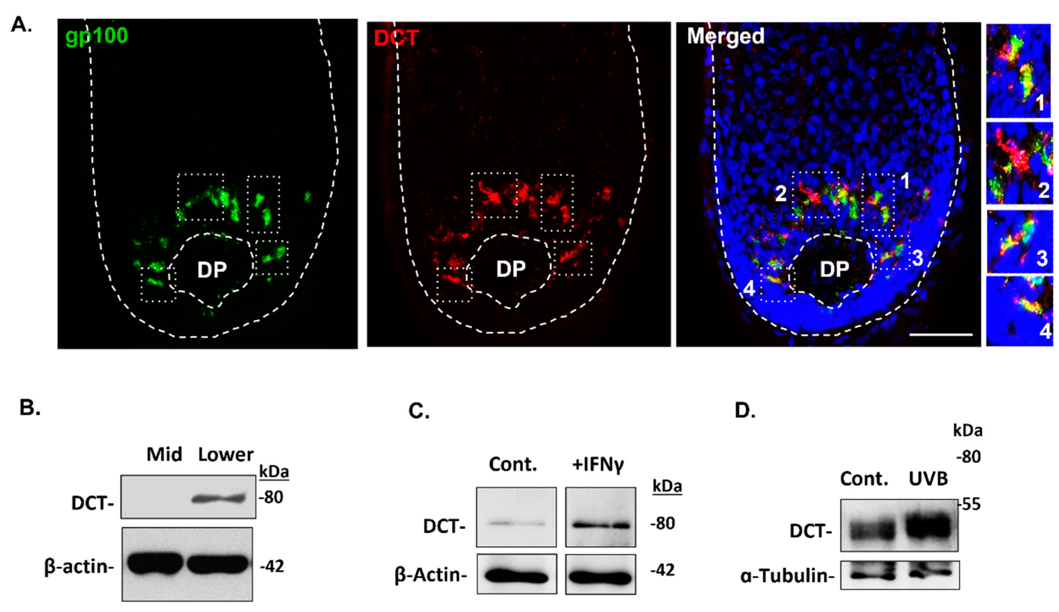 Preprints 78716 g007