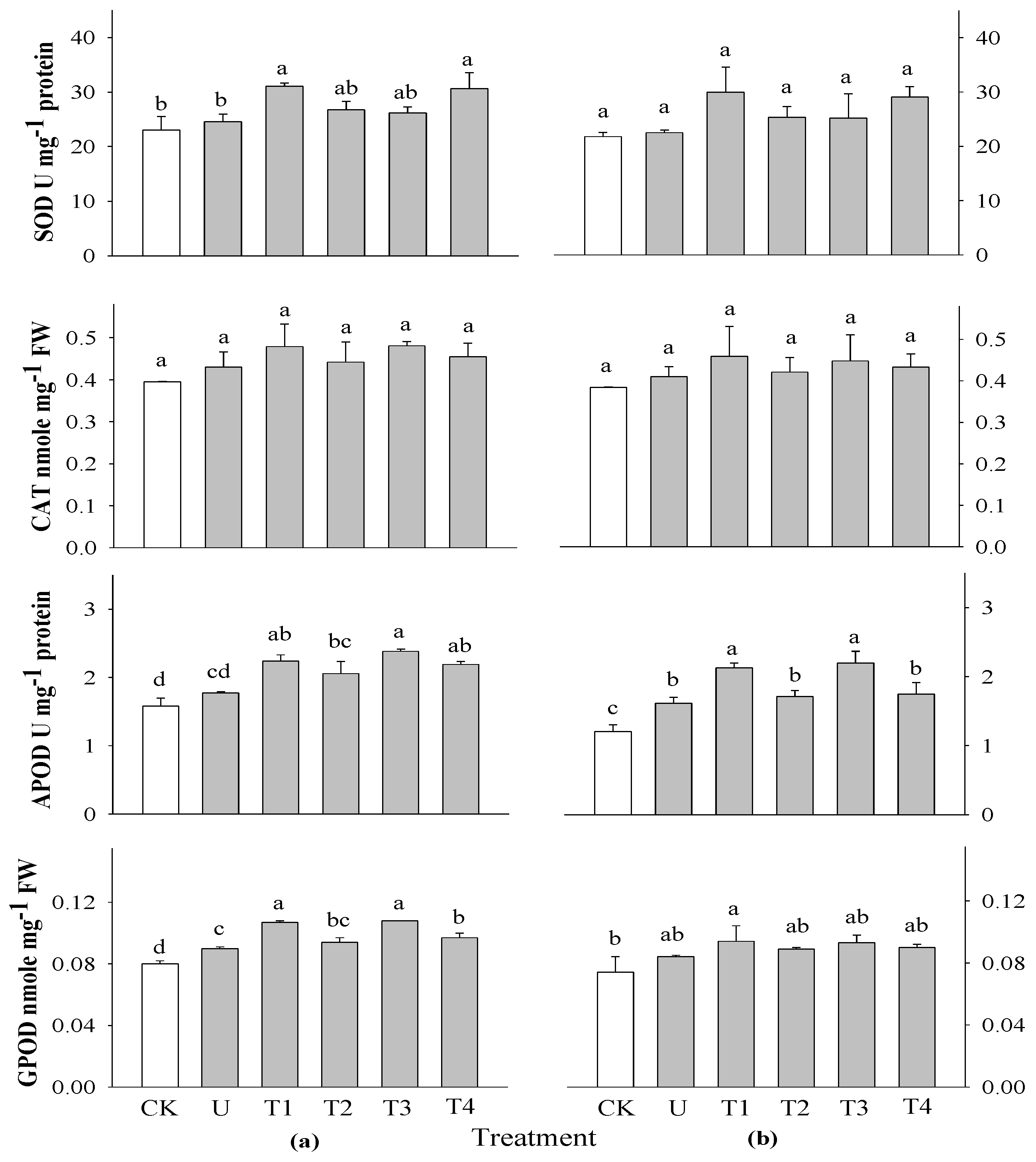 Preprints 116954 g004