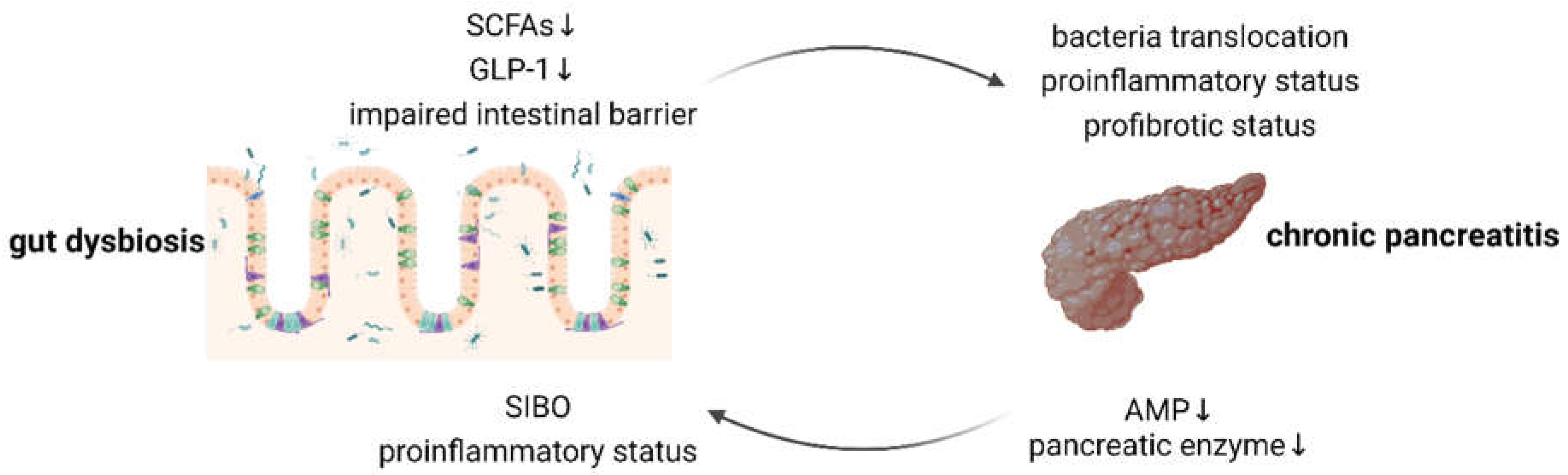 Preprints 114673 g001