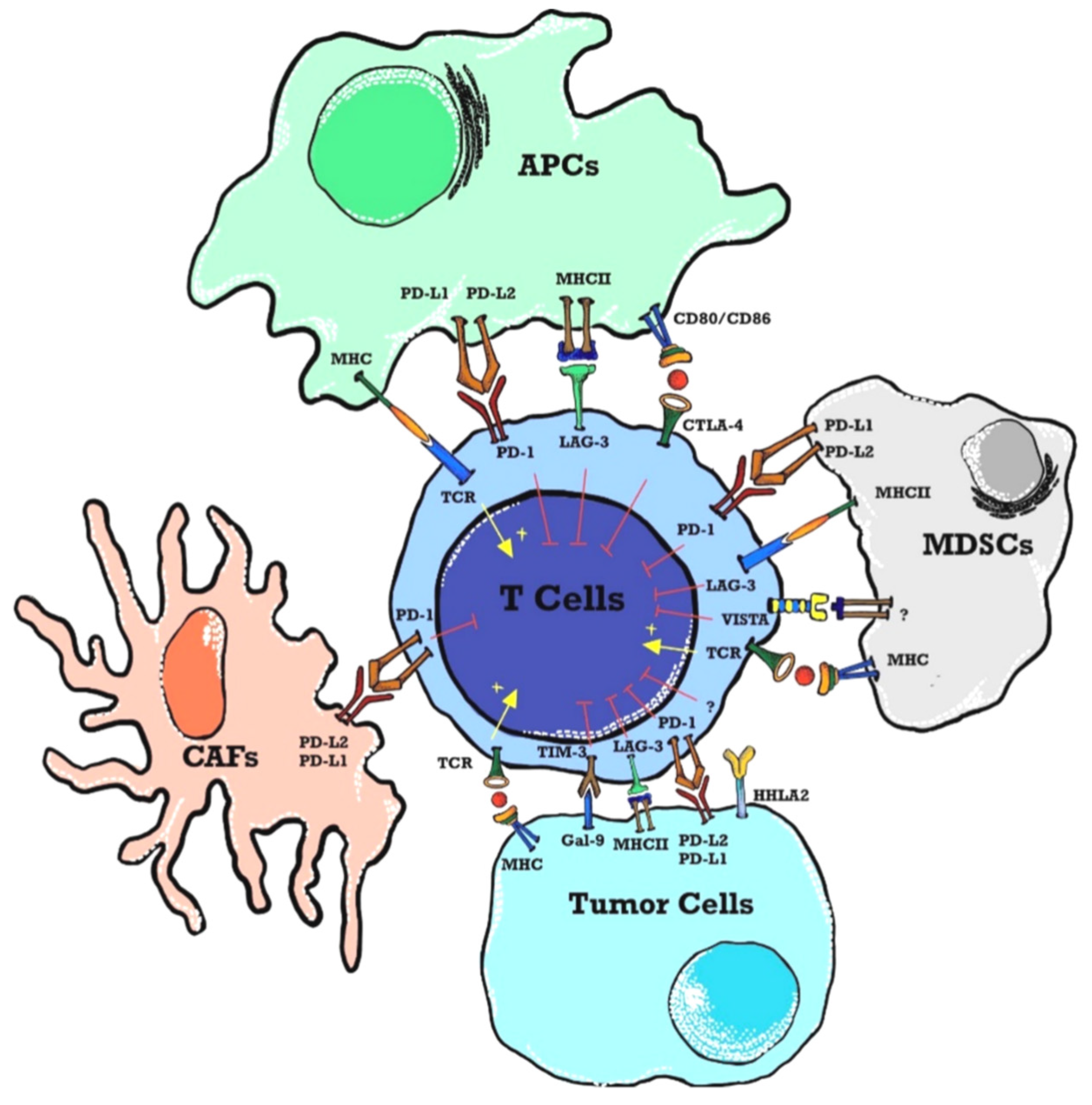 Preprints 78137 g001