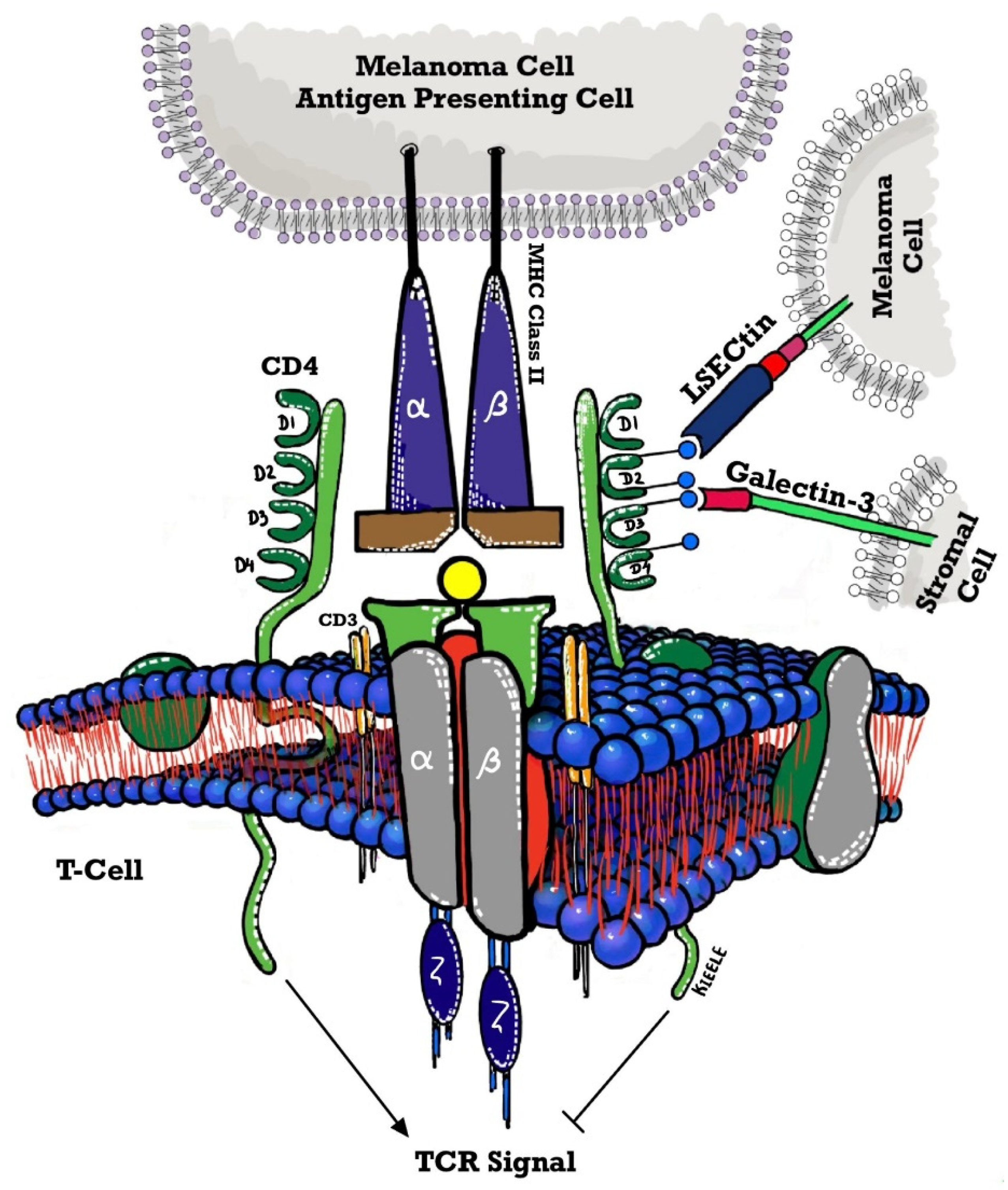 Preprints 78137 g002