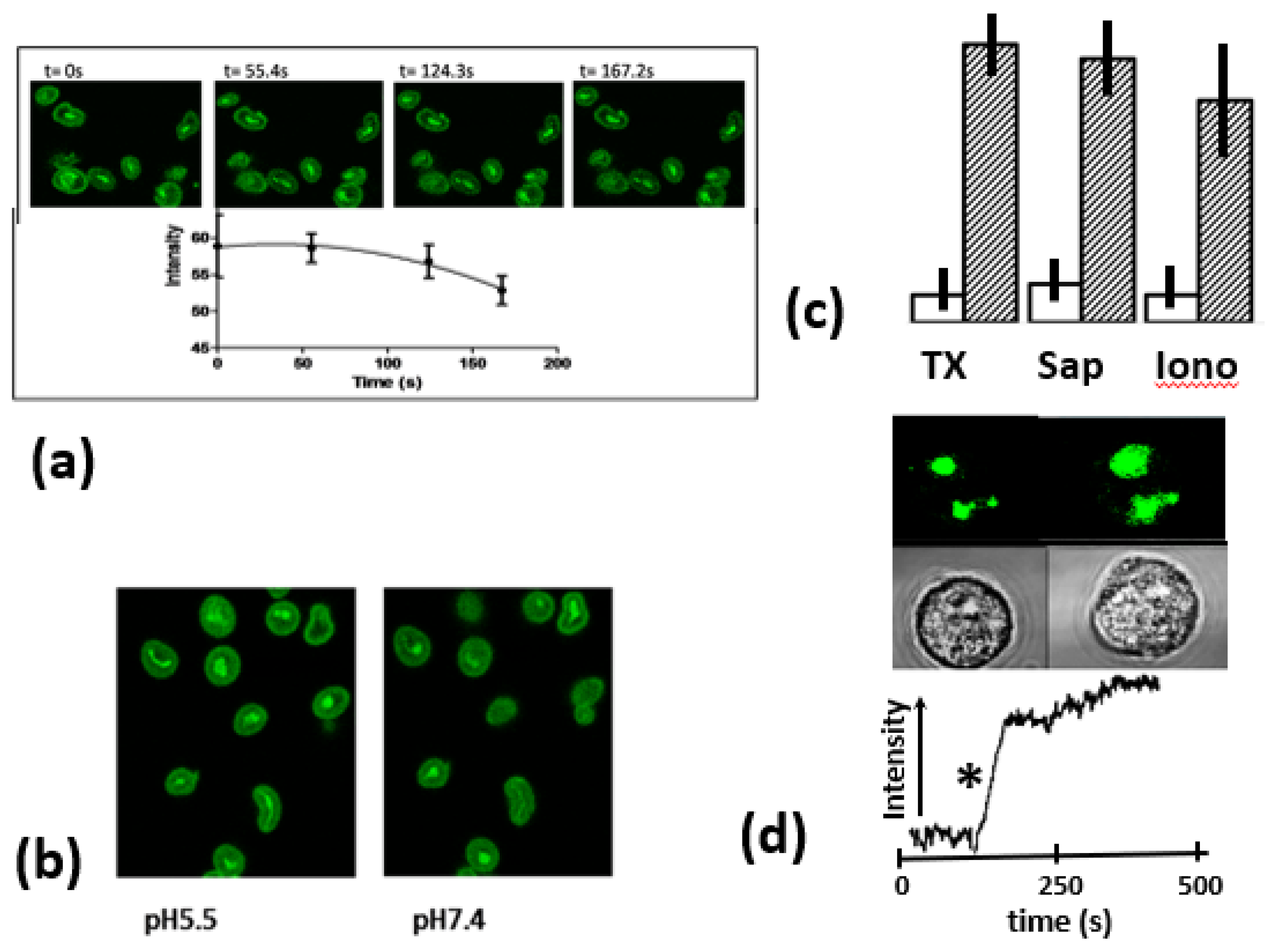 Preprints 100346 g003