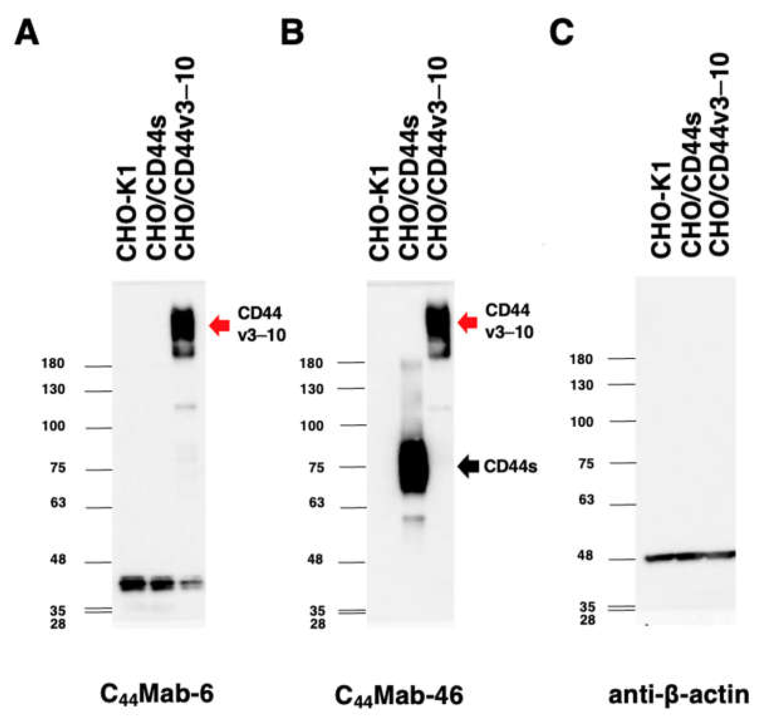 Preprints 71087 g005