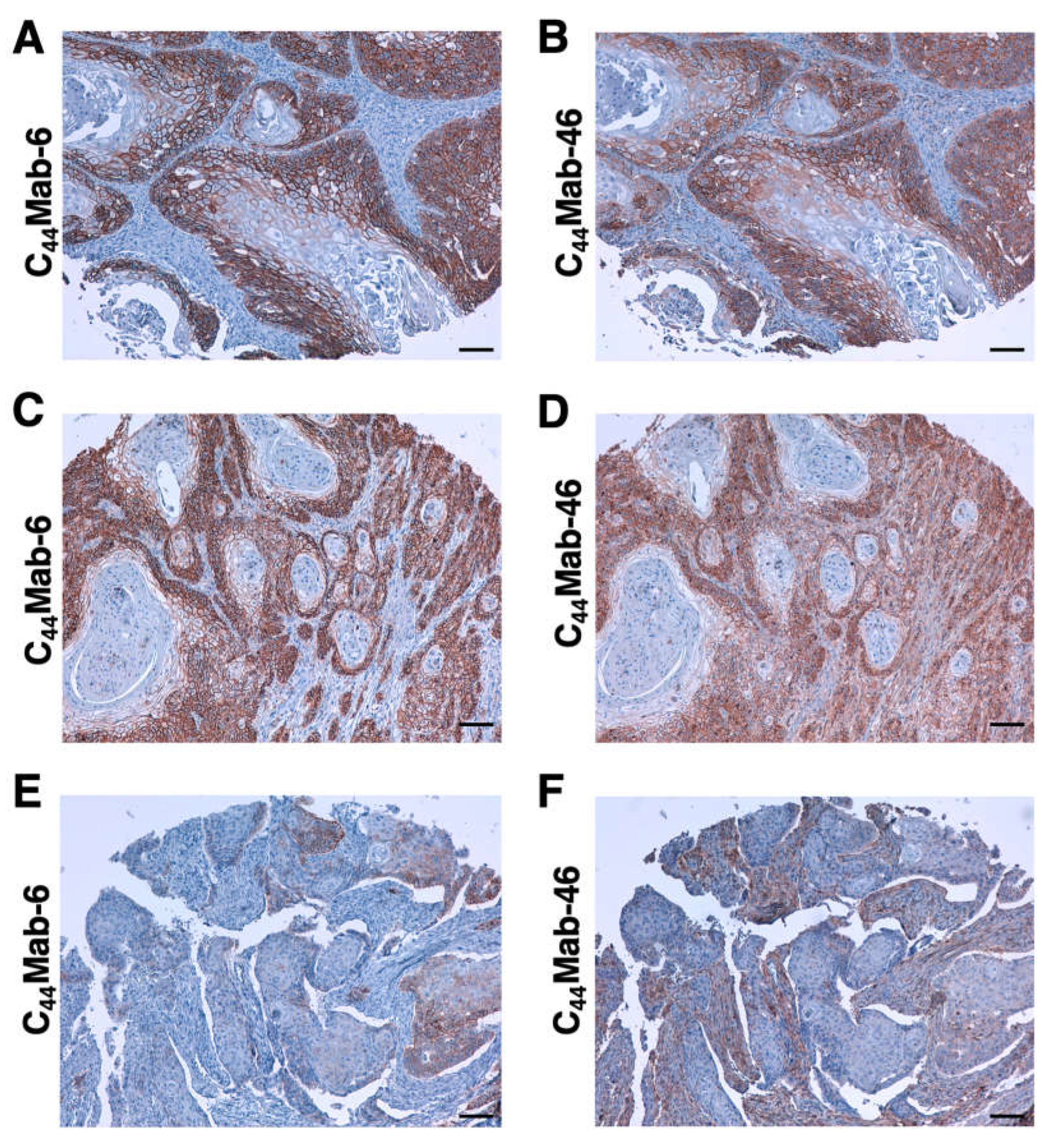 Preprints 71087 g006