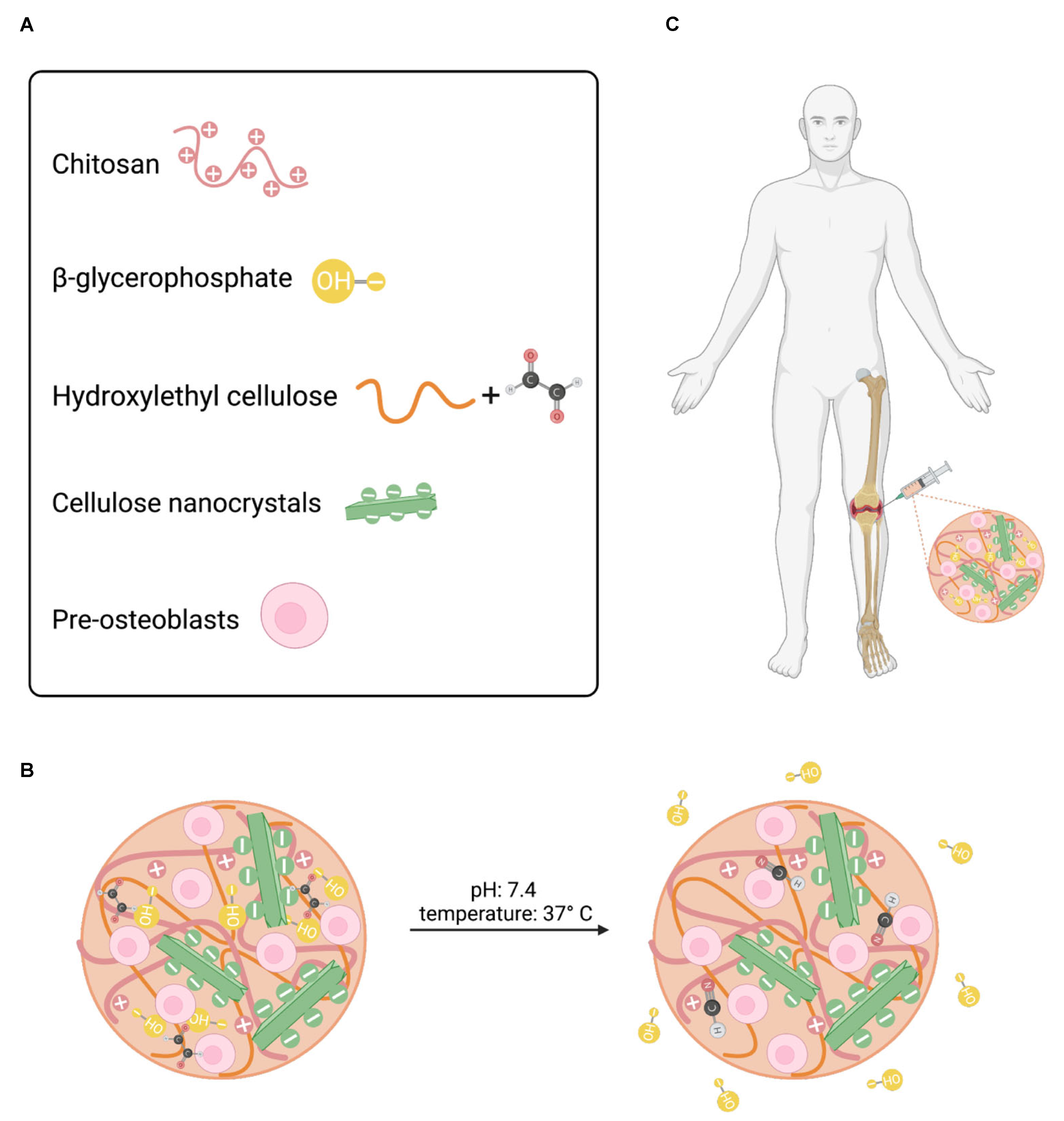 Preprints 80021 g001