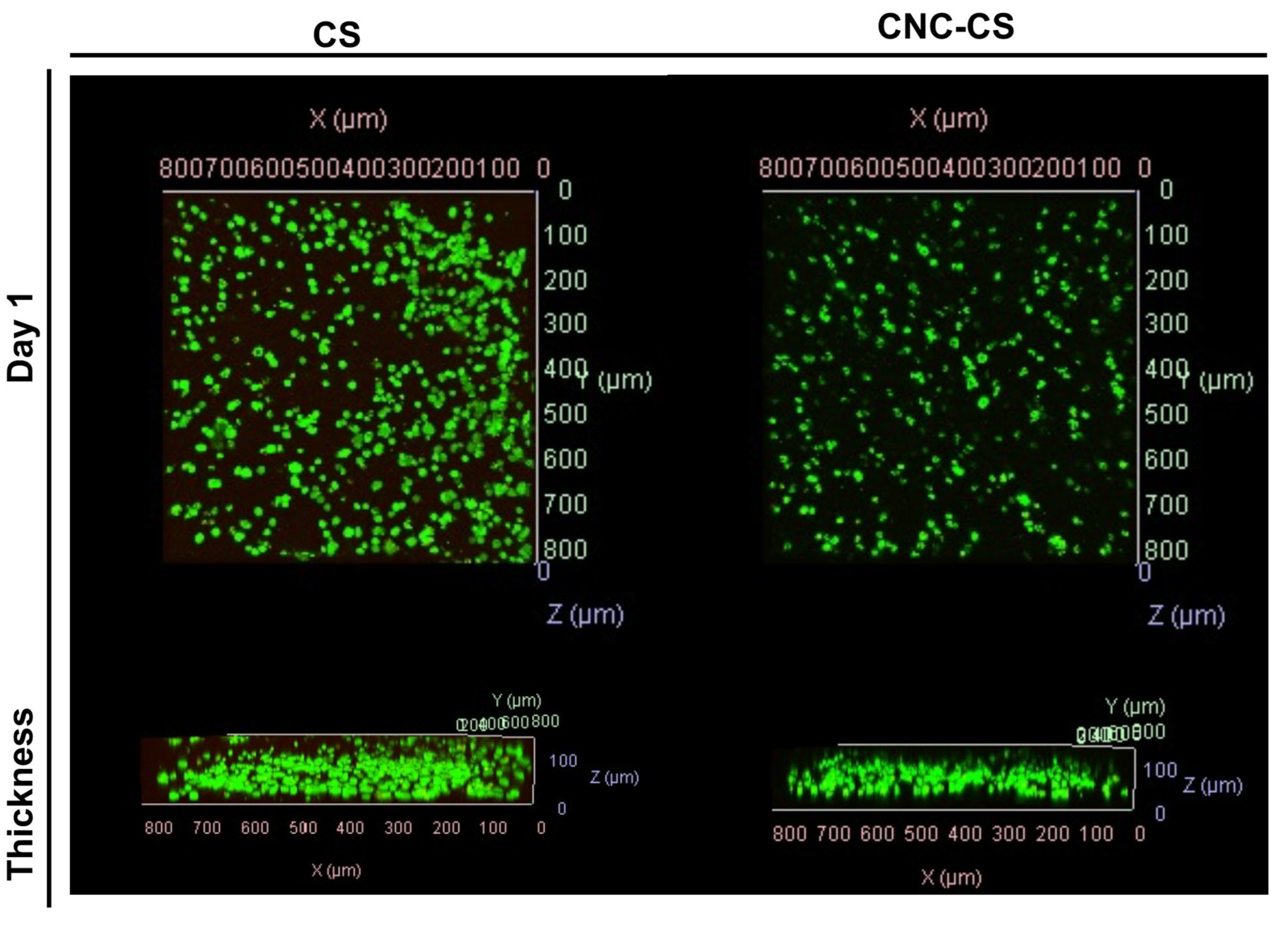 Preprints 80021 g004