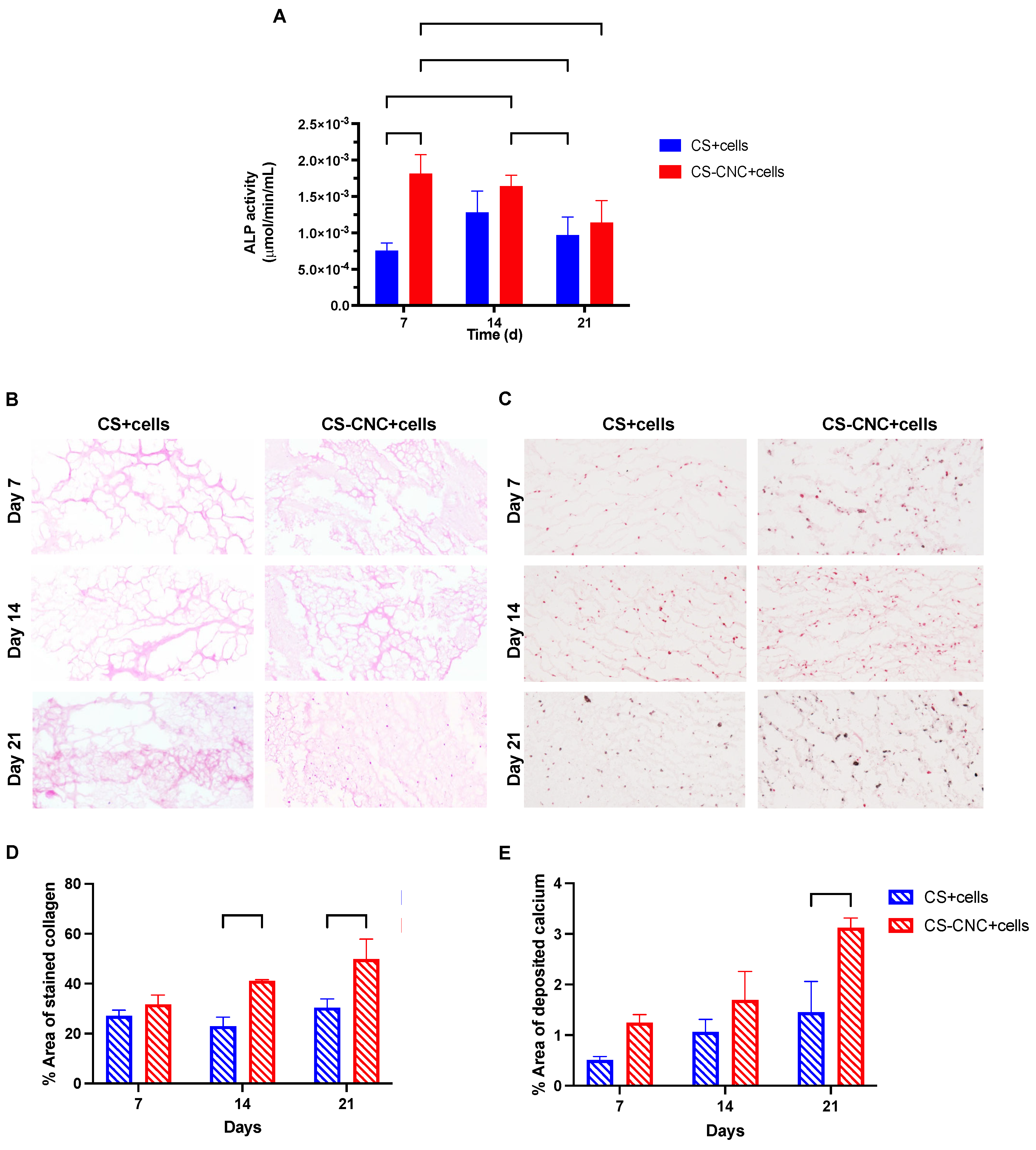 Preprints 80021 g005