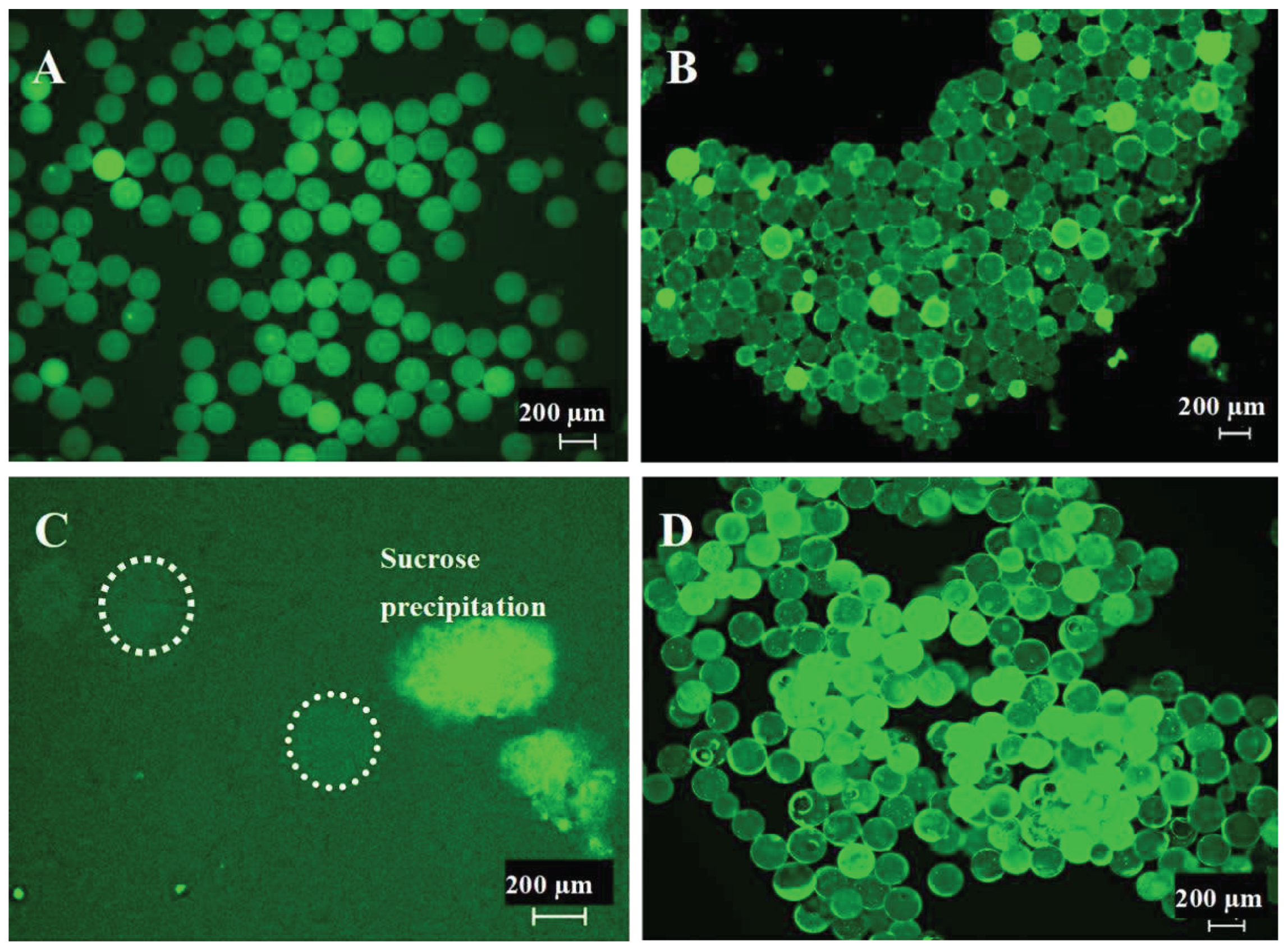 Preprints 97171 g002