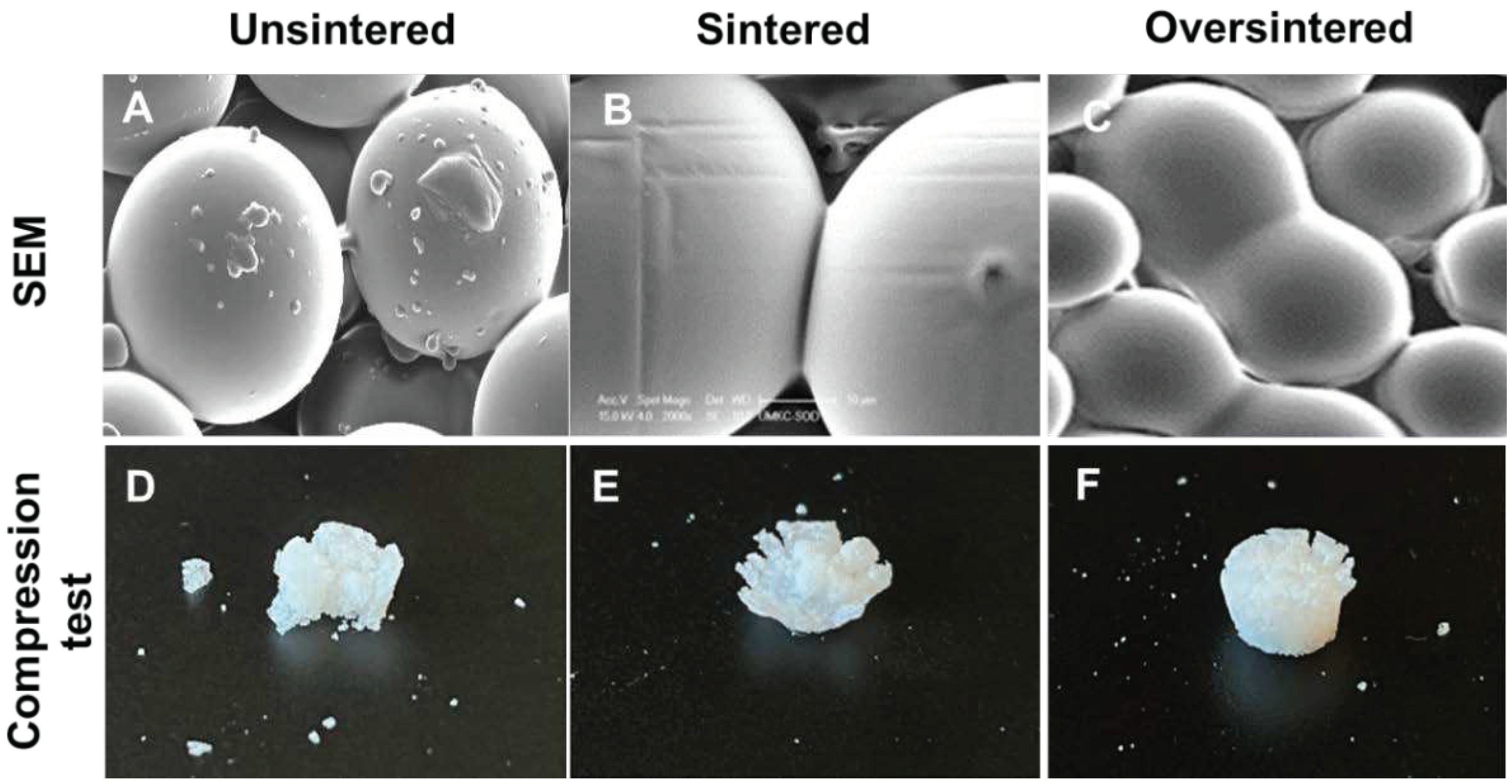 Preprints 97171 g006