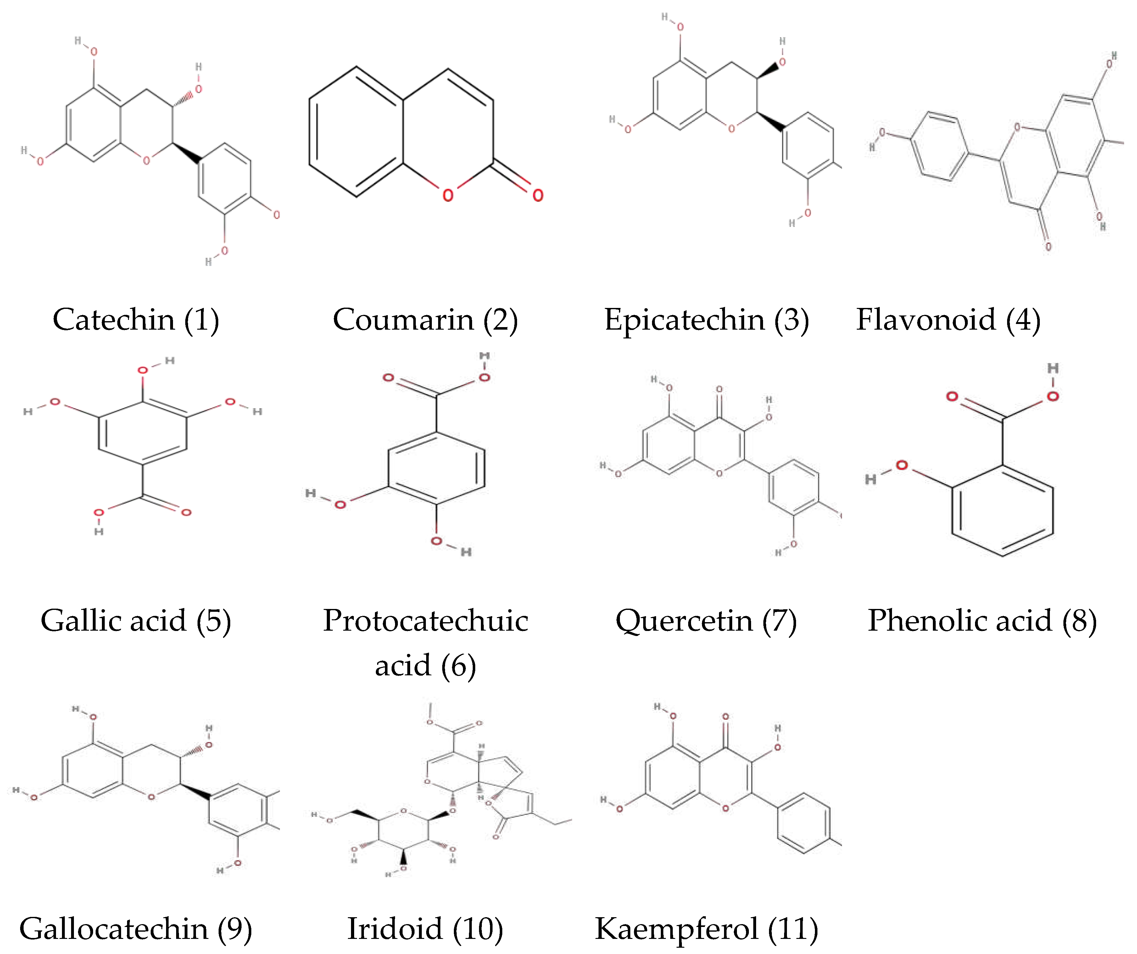 Preprints 94066 g002a