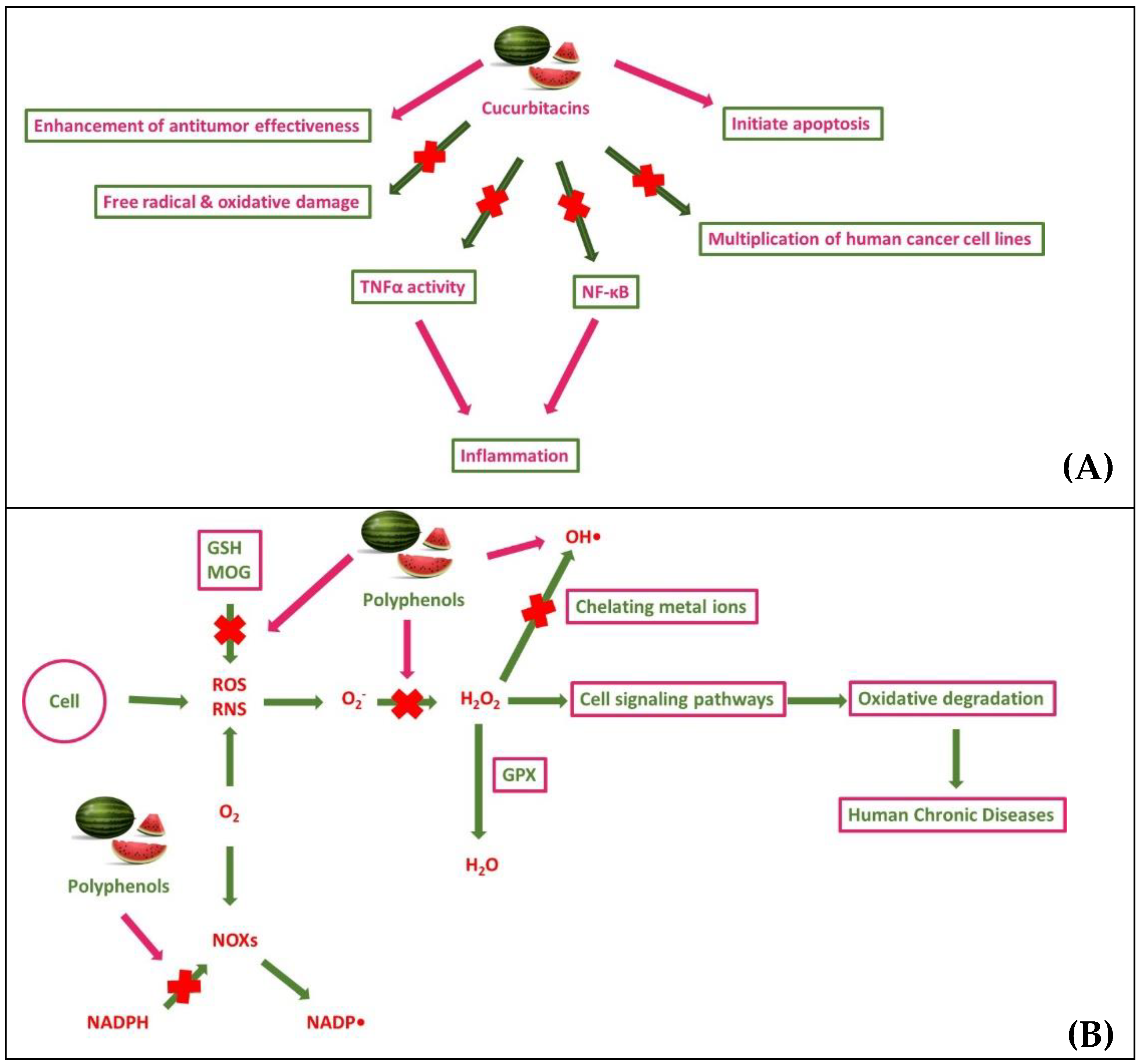 Preprints 94066 g004