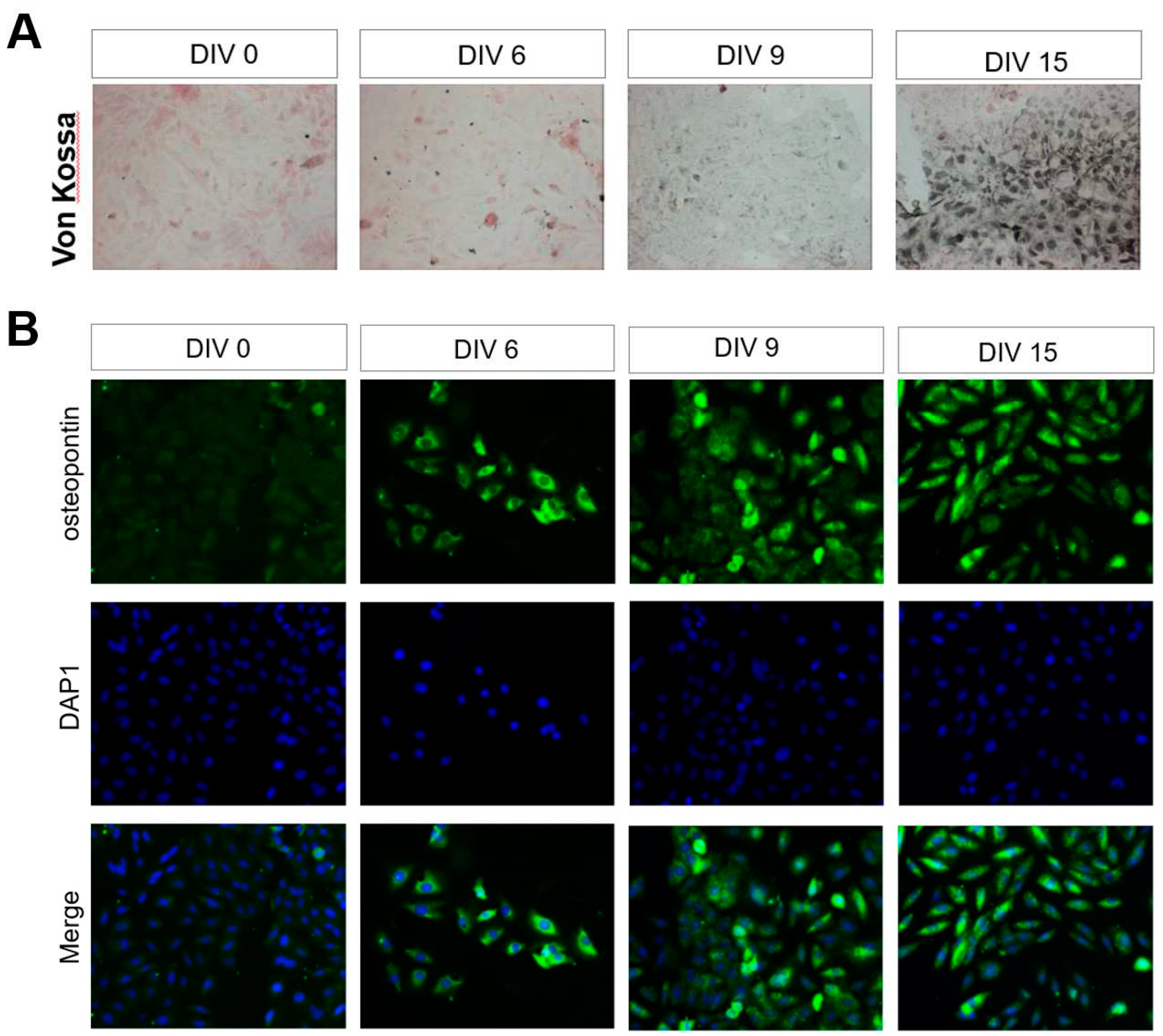 Preprints 77640 g005