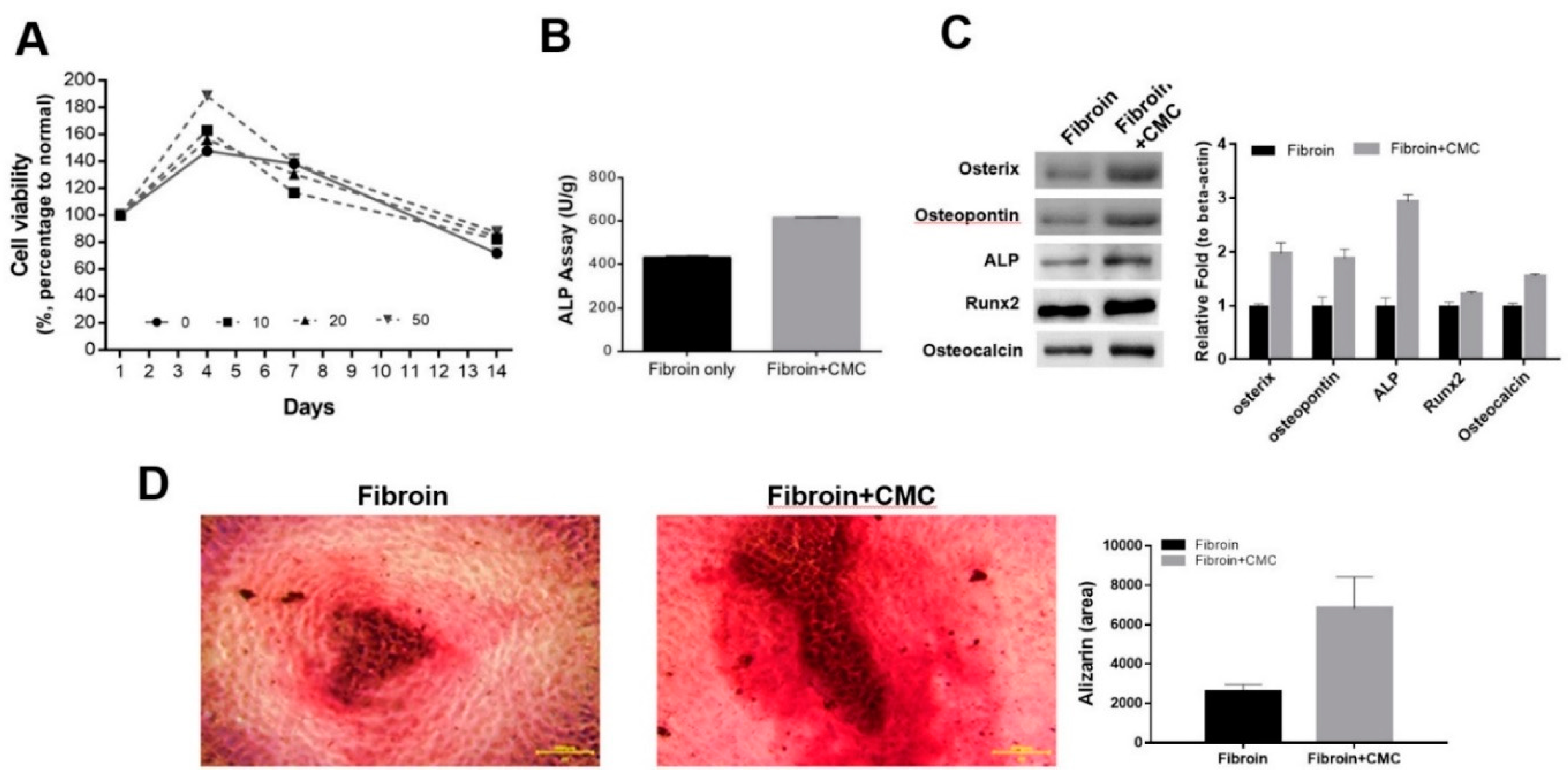 Preprints 77640 g006