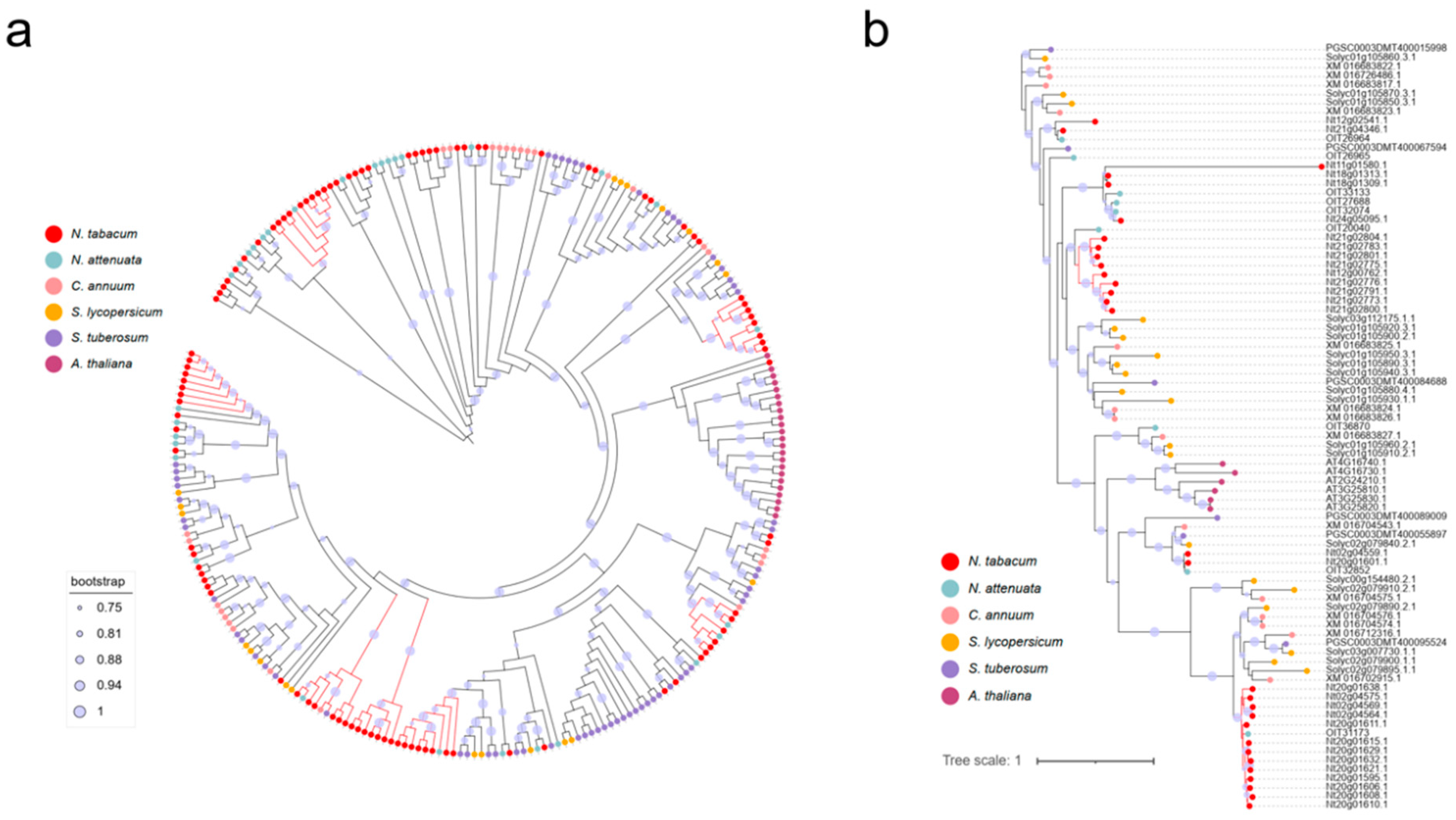 Preprints 93884 g001