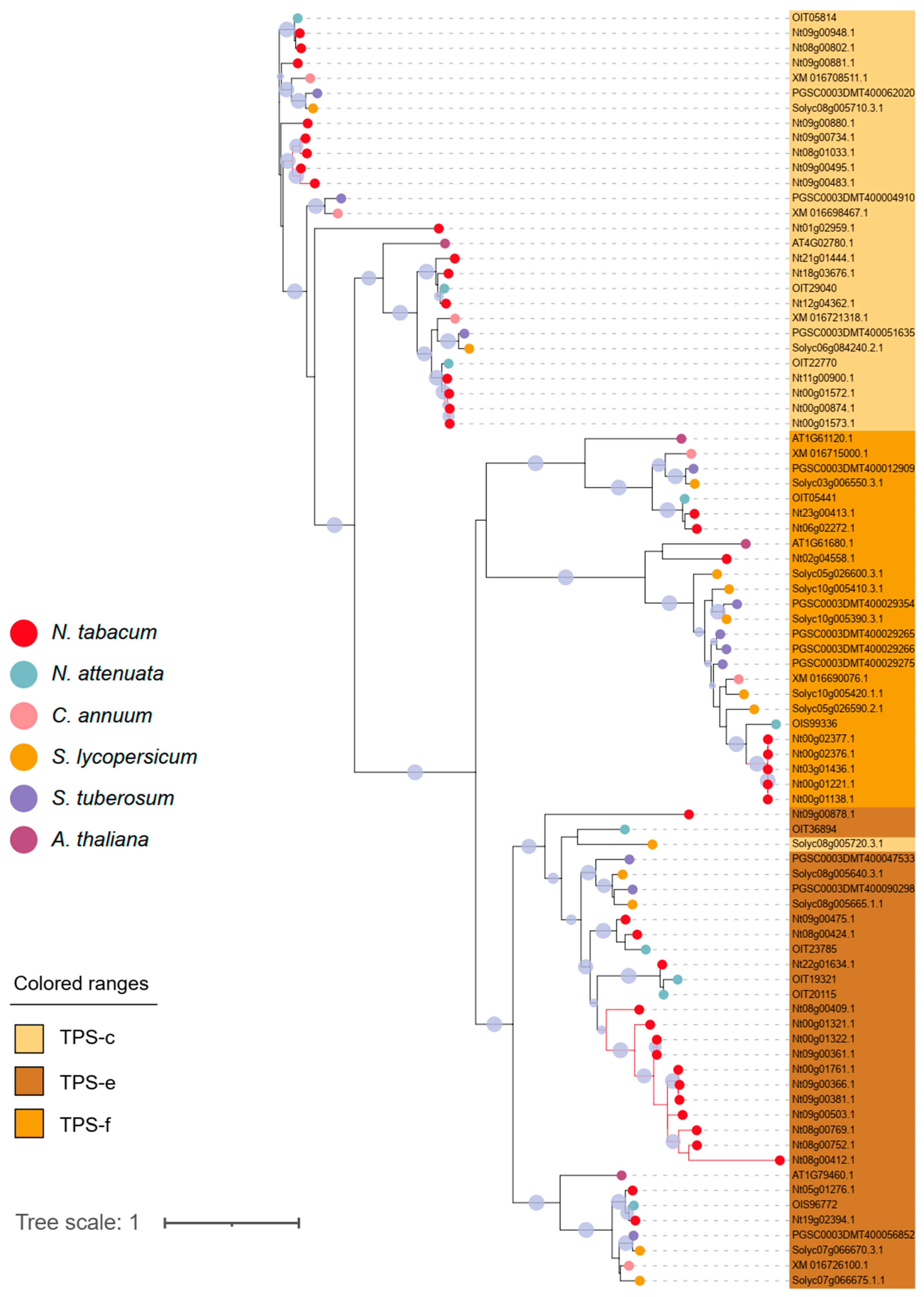 Preprints 93884 g002