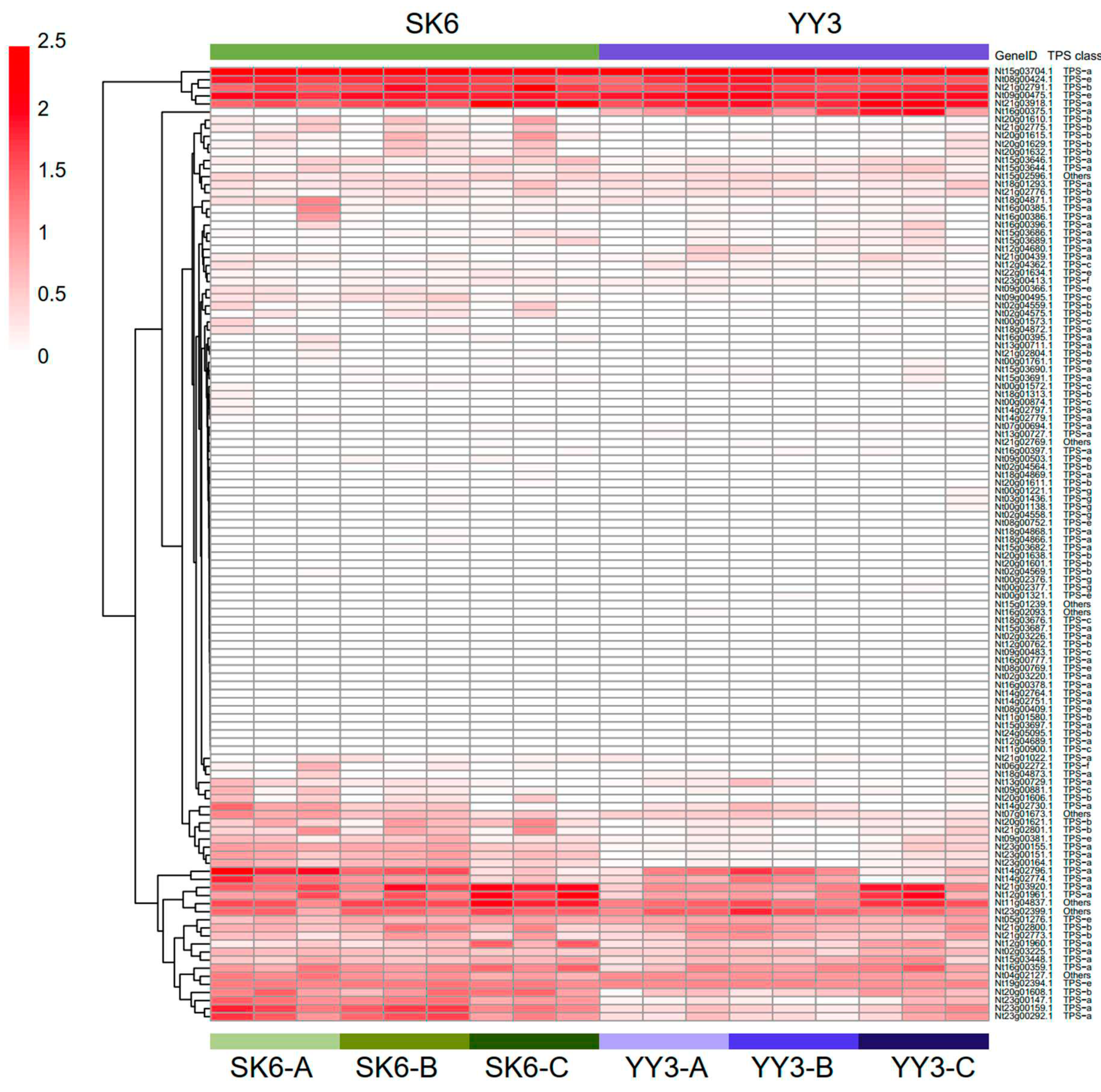 Preprints 93884 g004