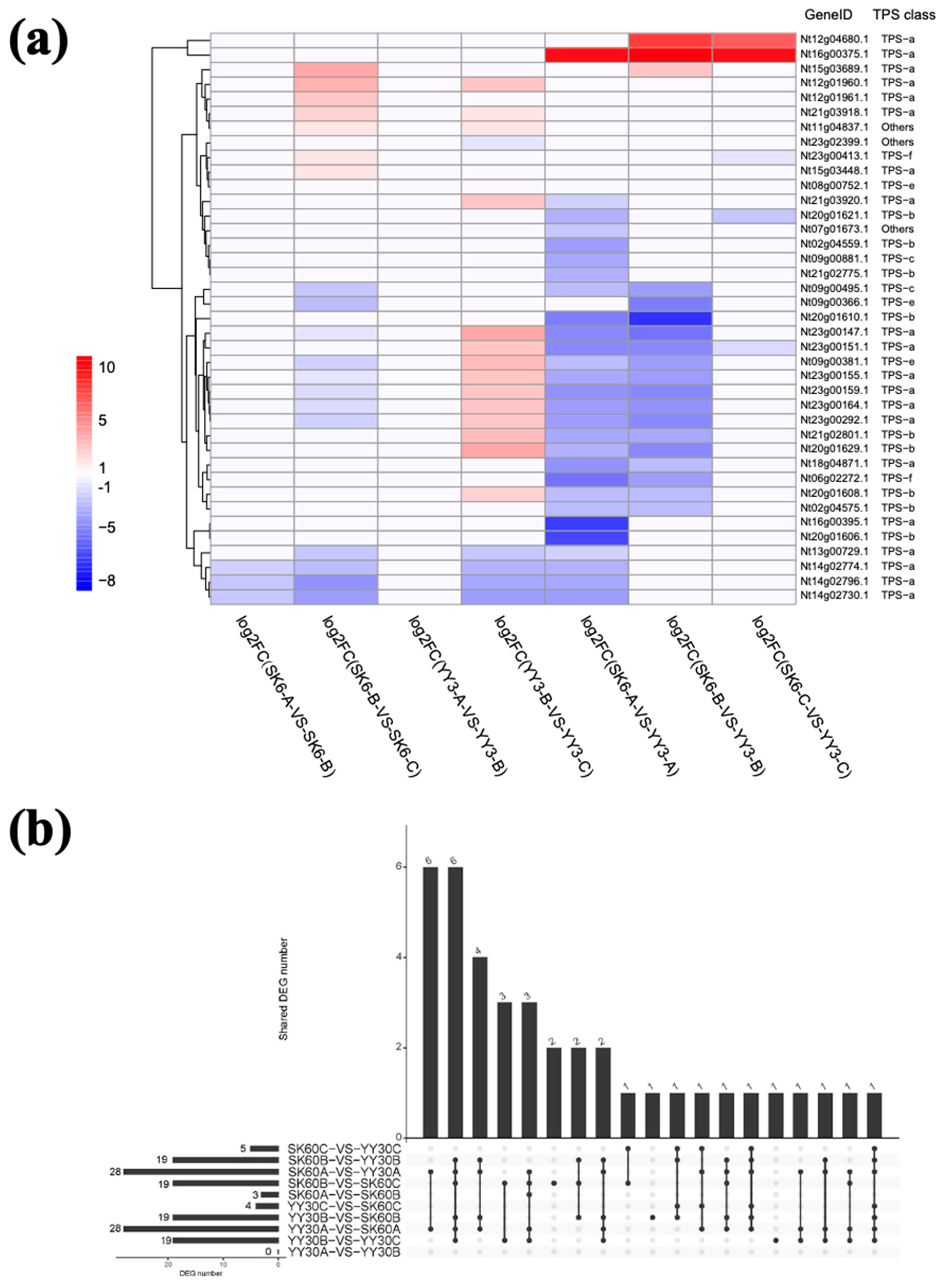 Preprints 93884 g005