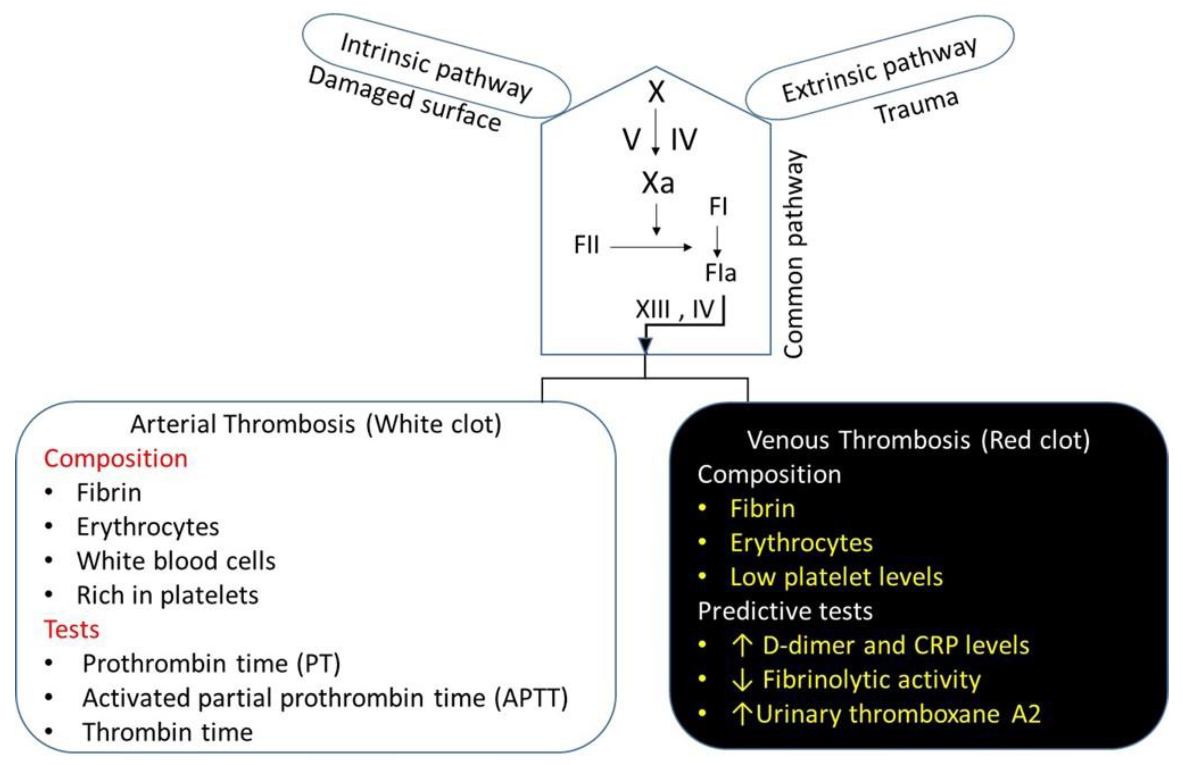 Preprints 113791 g003