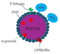 Preprints 113791 i006