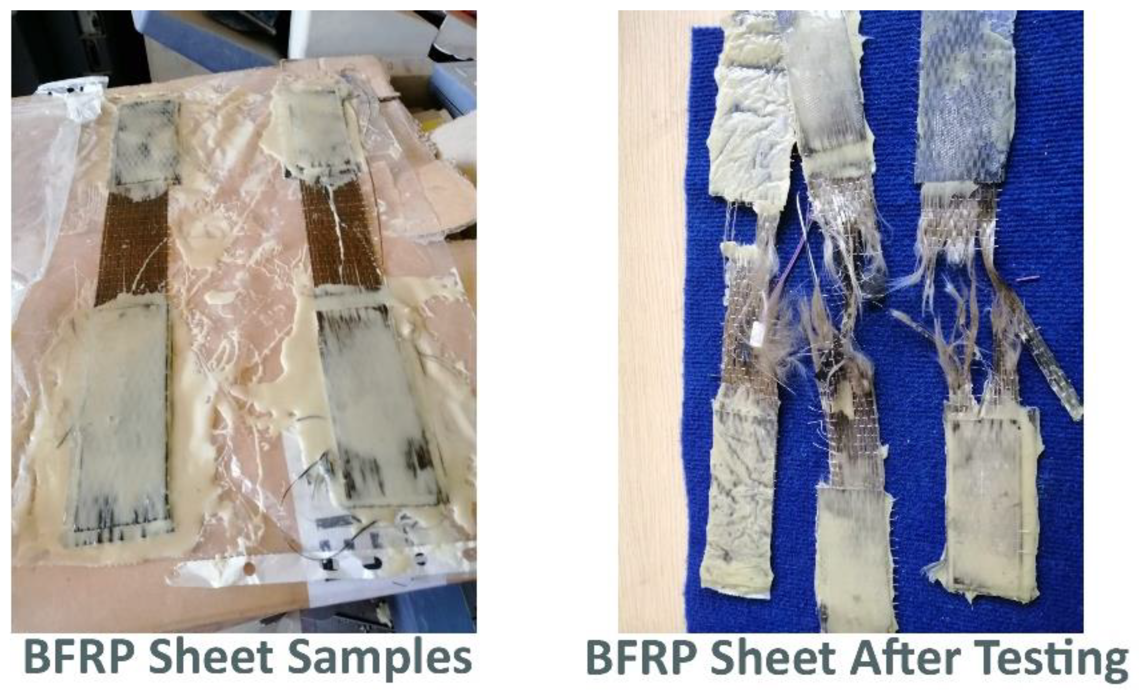 Preprints 82350 g001