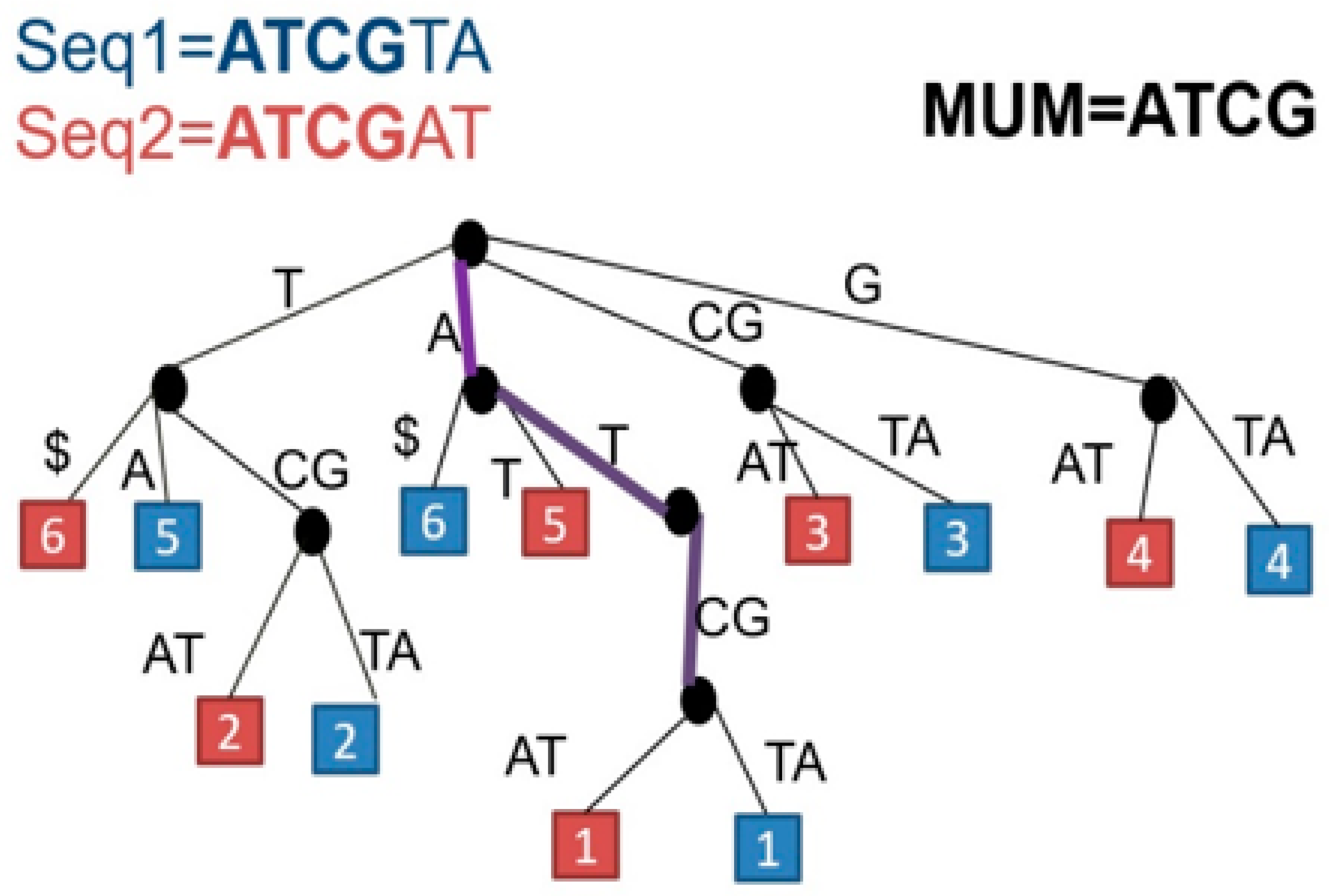 Preprints 99443 g002