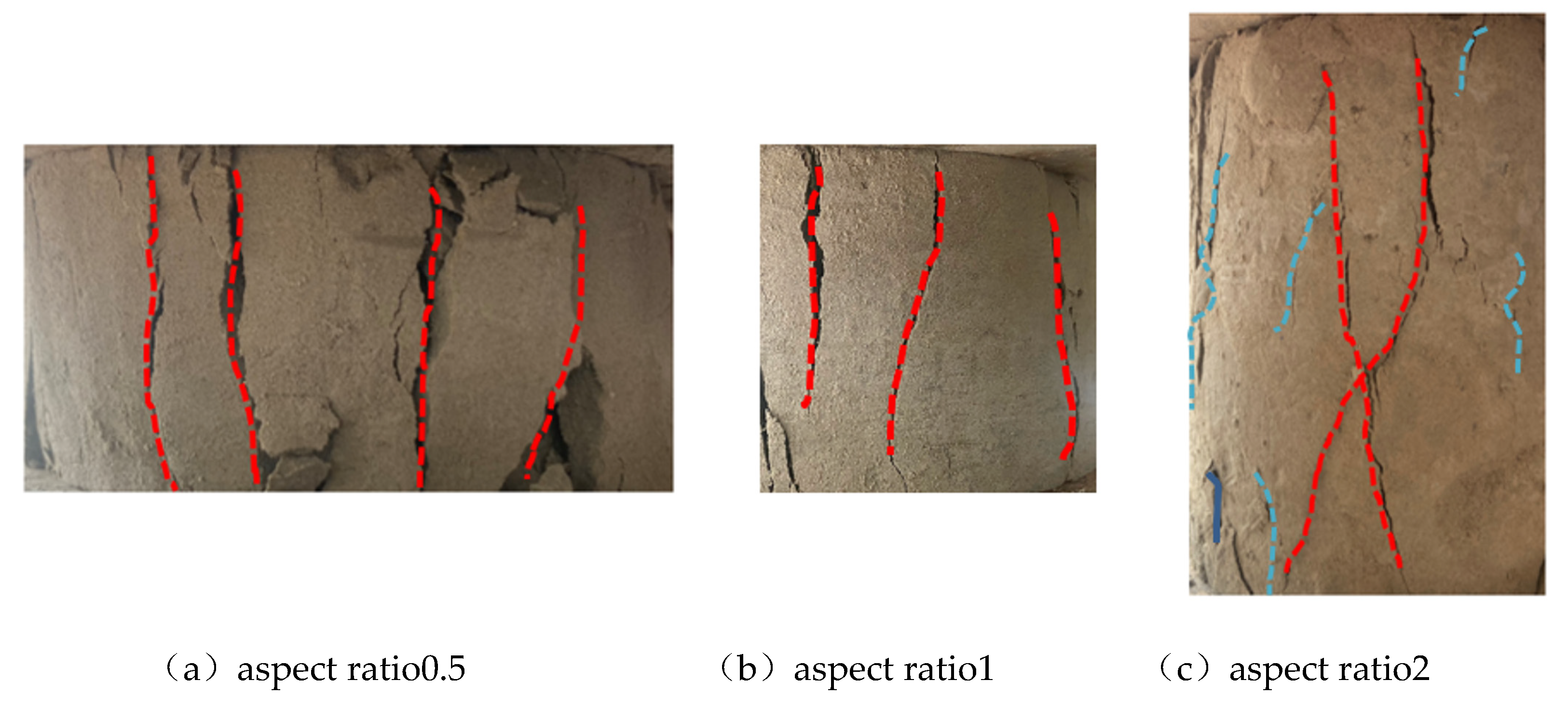 Preprints 99861 g005