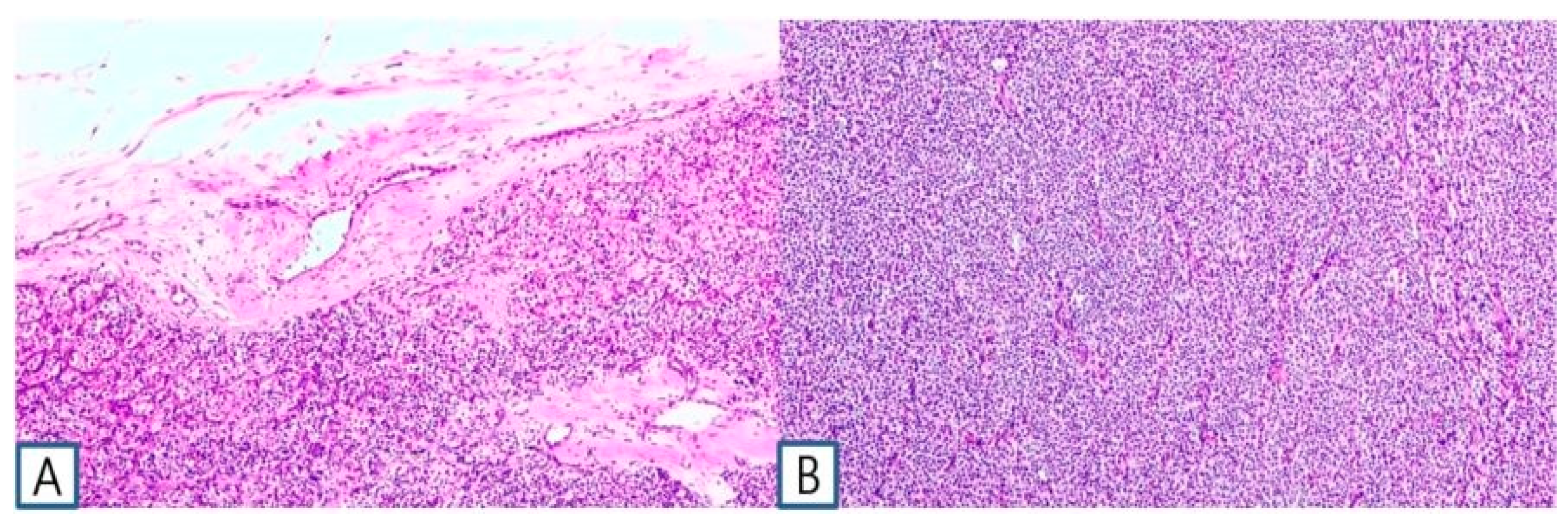 Preprints 92054 g003