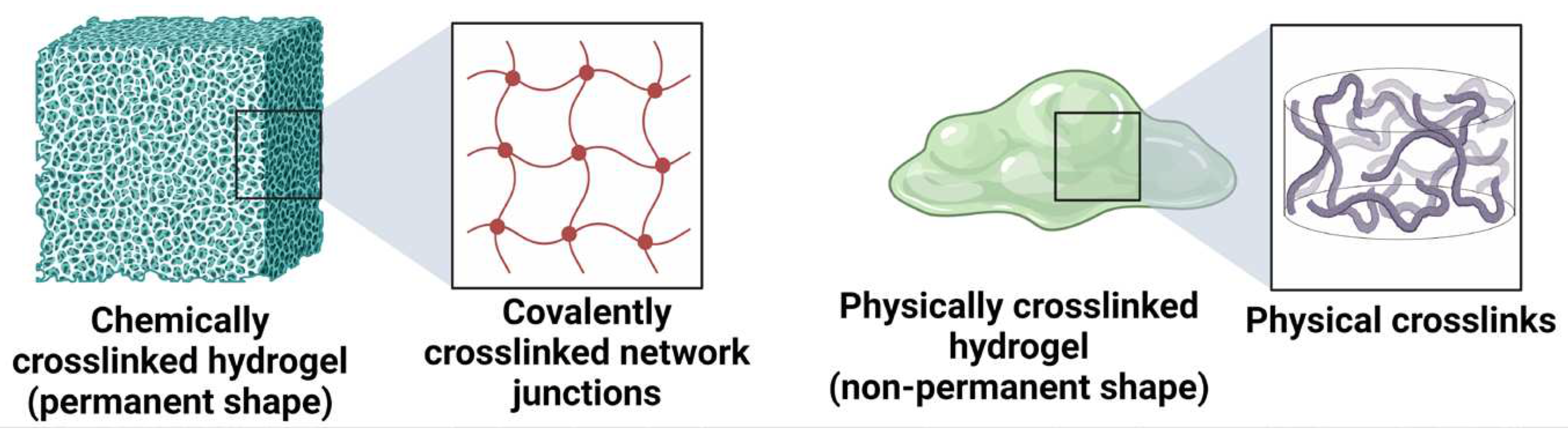 Preprints 95780 g003