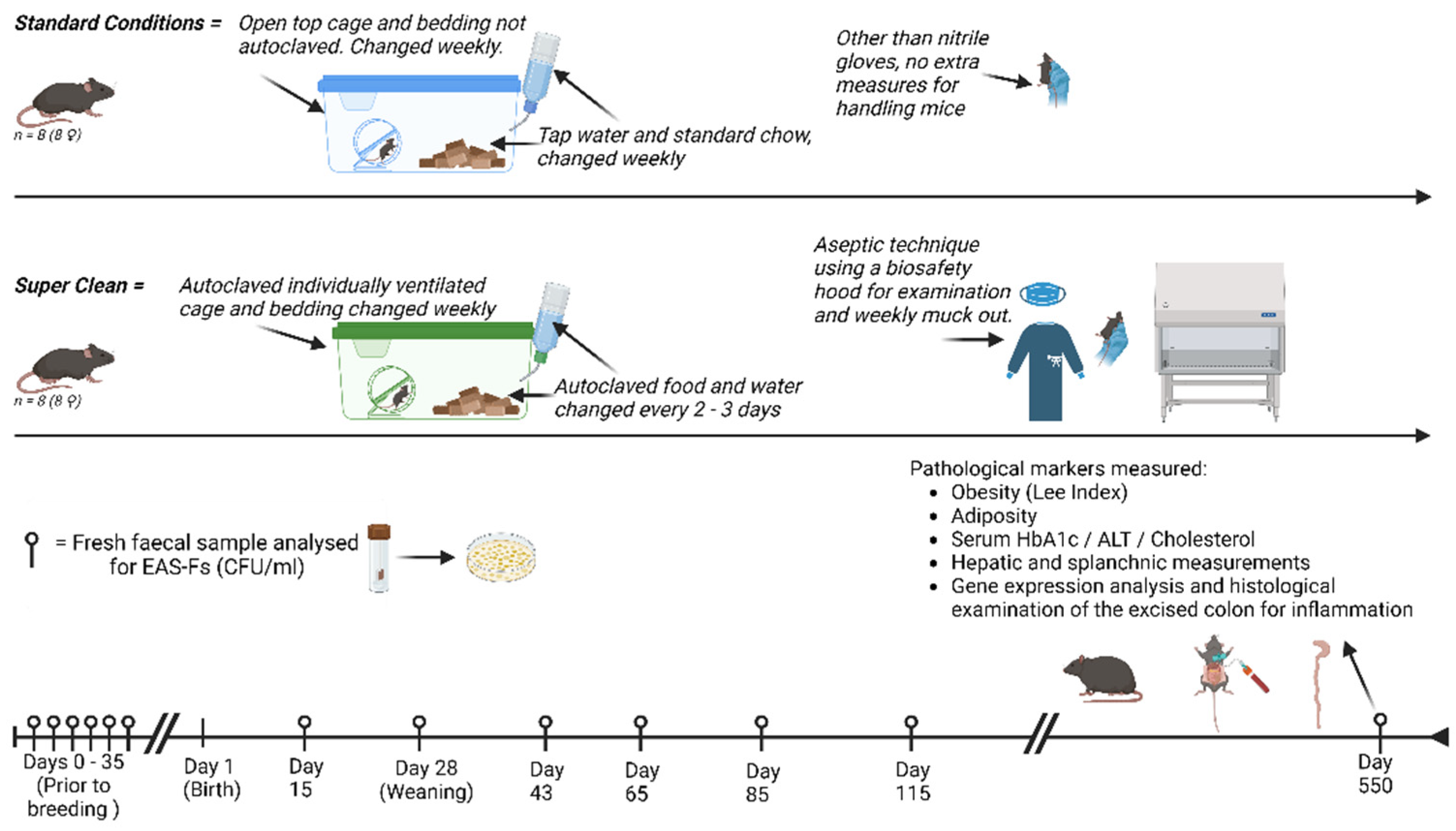 Preprints 115286 g001