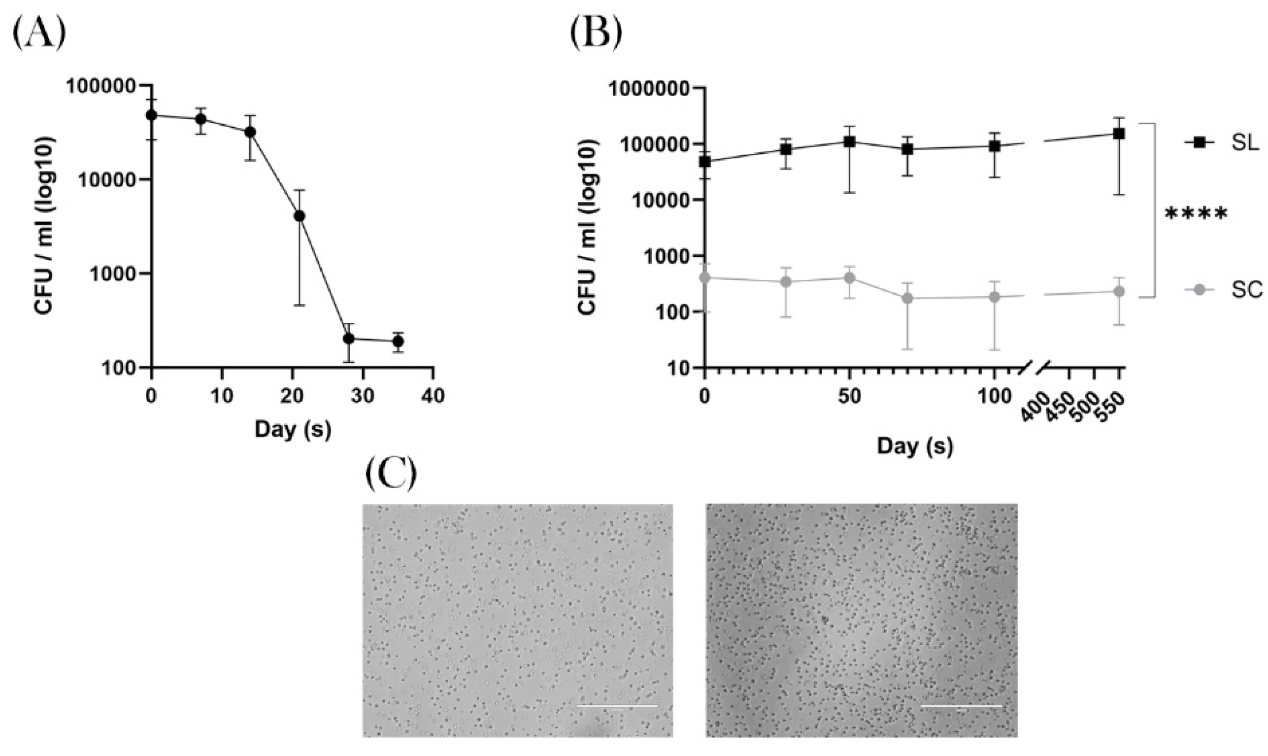 Preprints 115286 g002