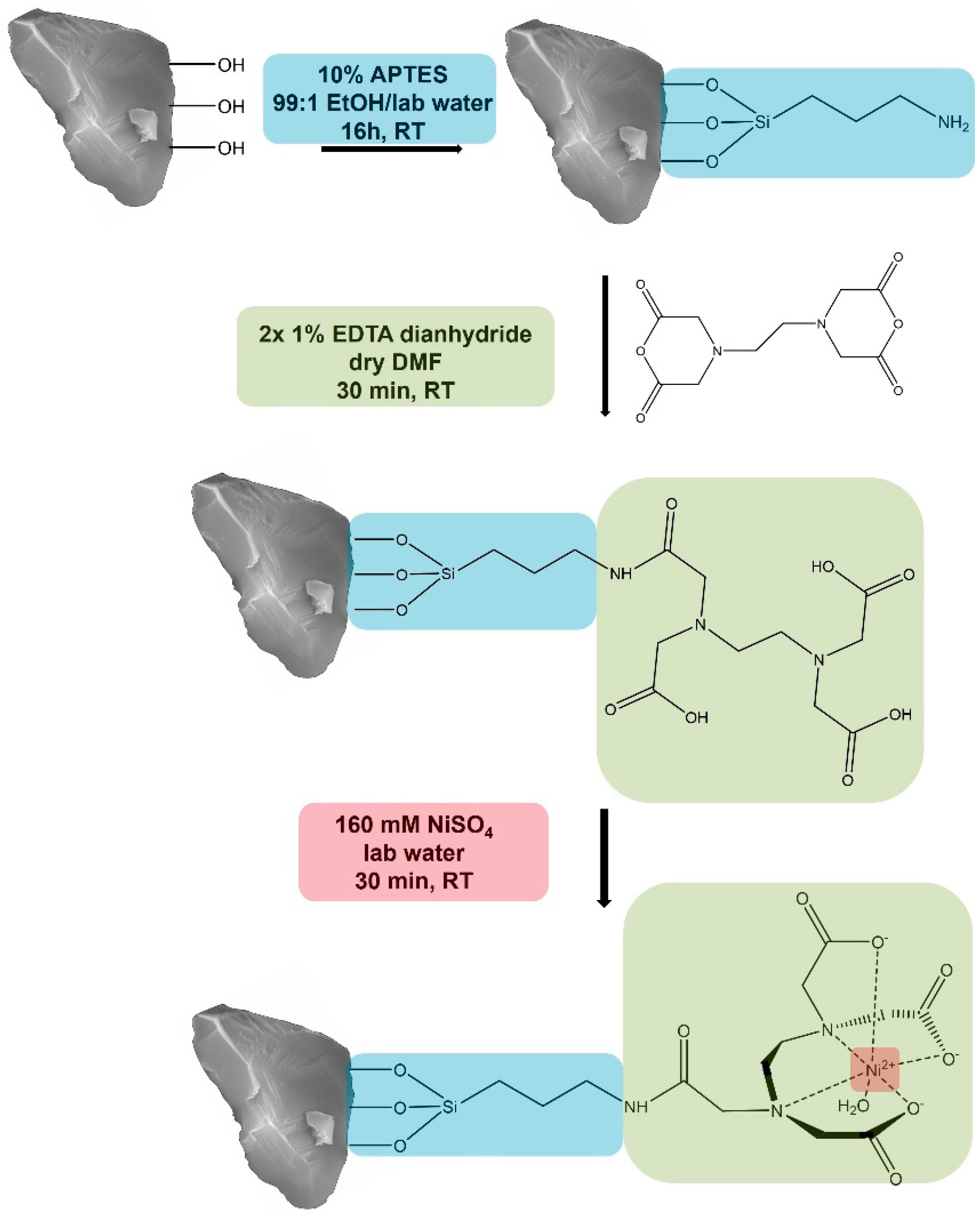 Preprints 70565 g001