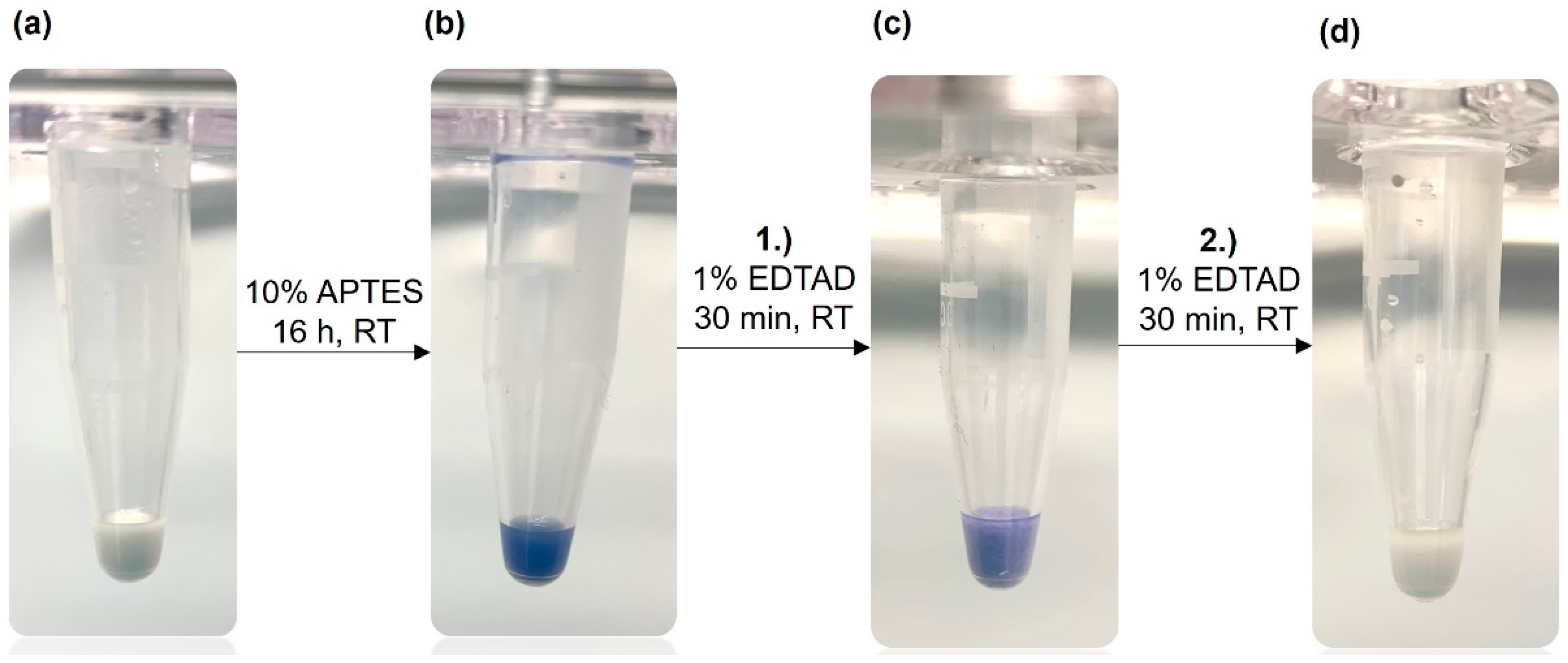 Preprints 70565 g002