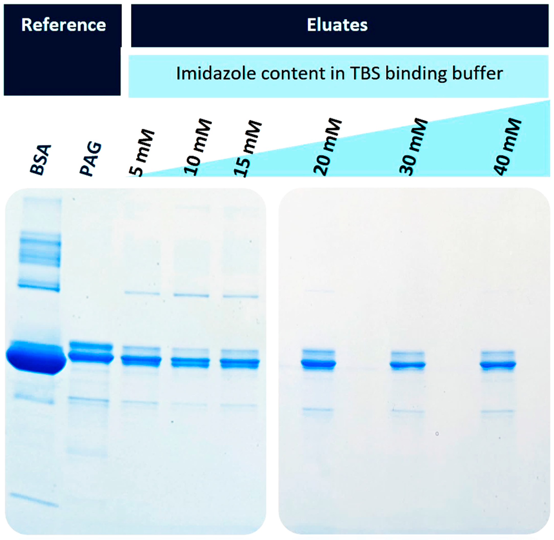 Preprints 70565 g004