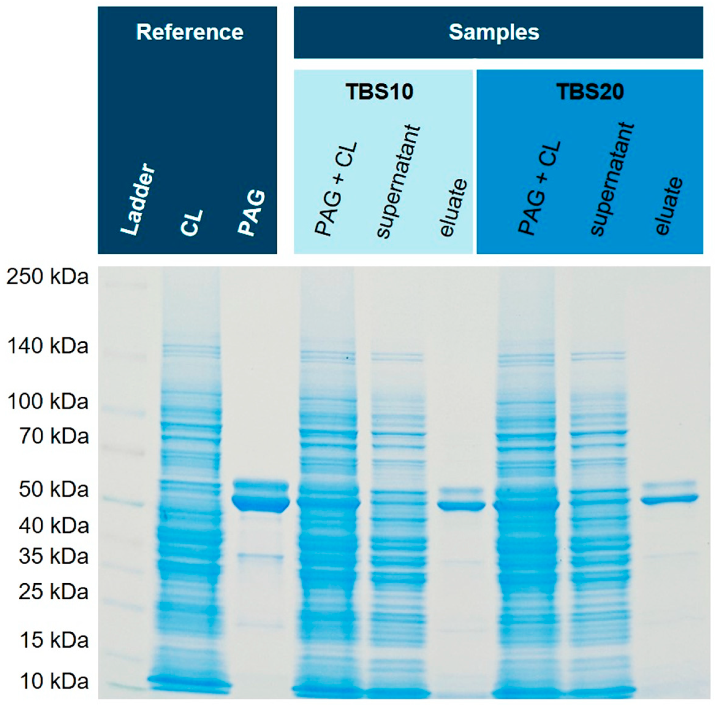 Preprints 70565 g006