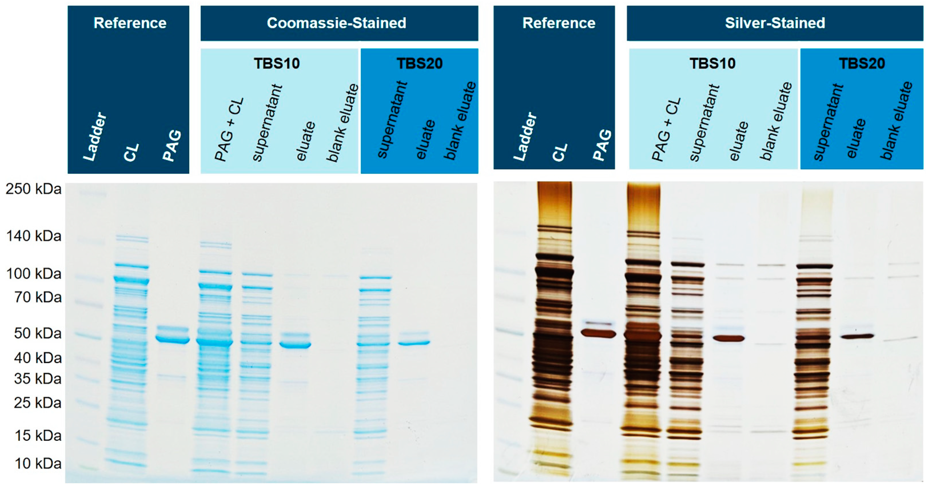 Preprints 70565 g007