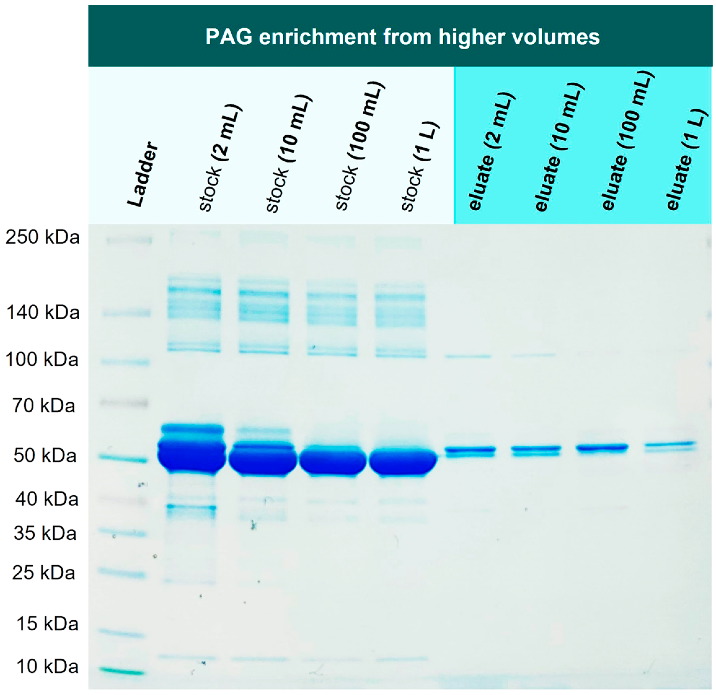 Preprints 70565 g009