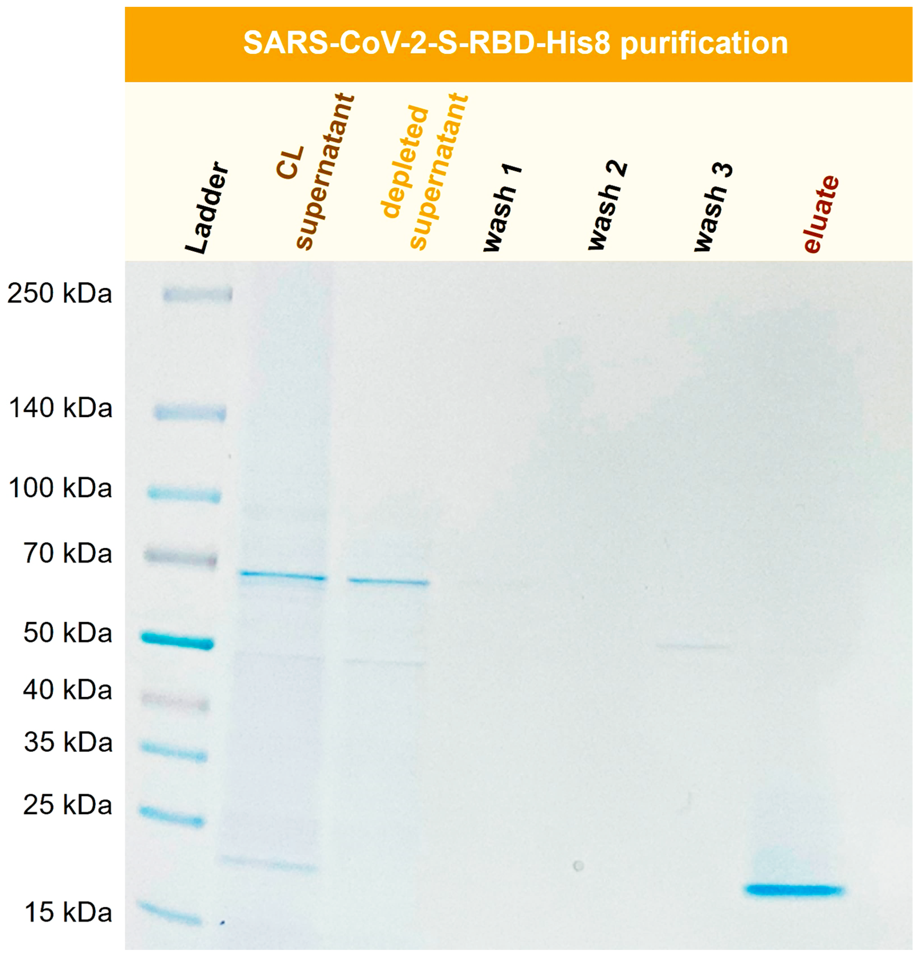 Preprints 70565 g012