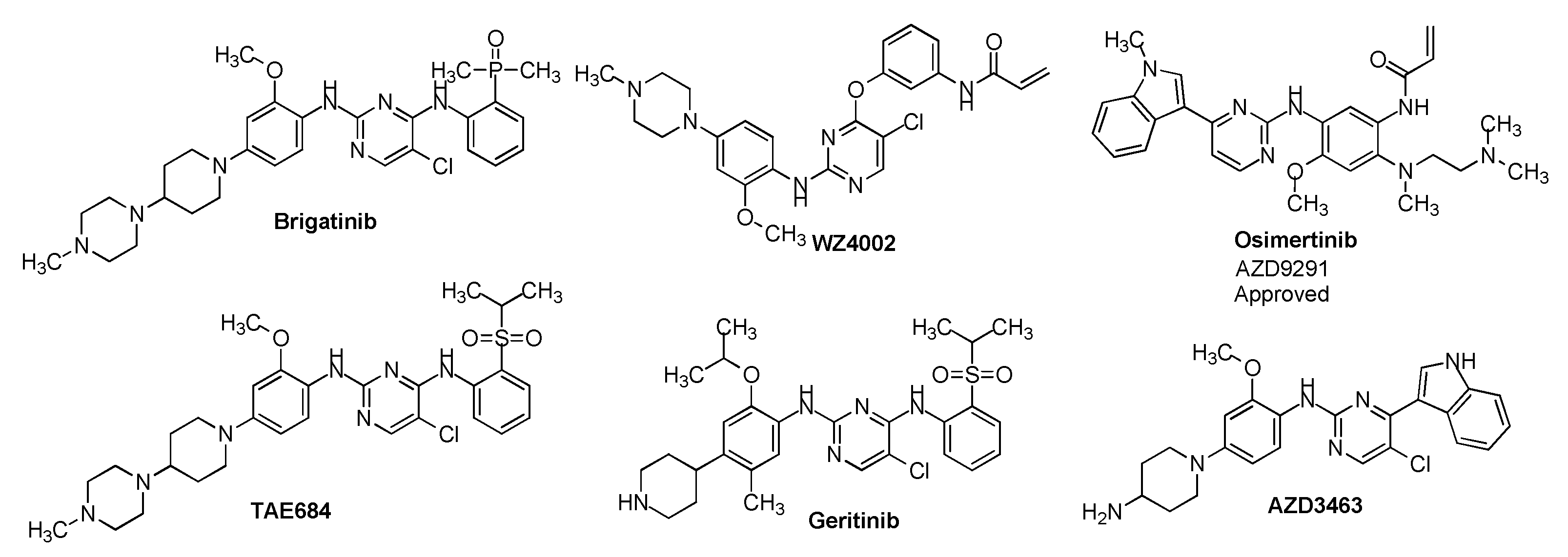 Preprints 97149 g001