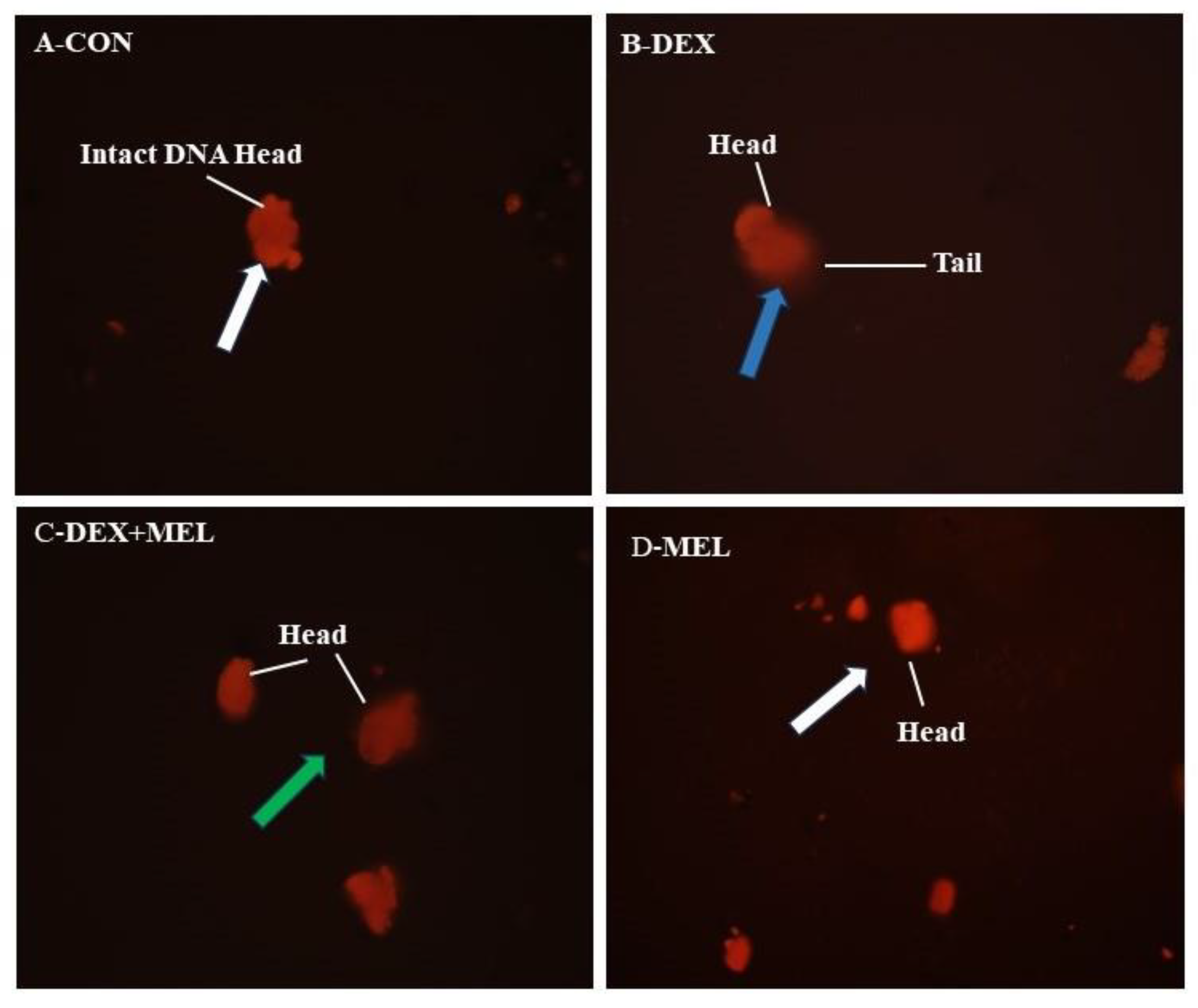 Preprints 106761 g013