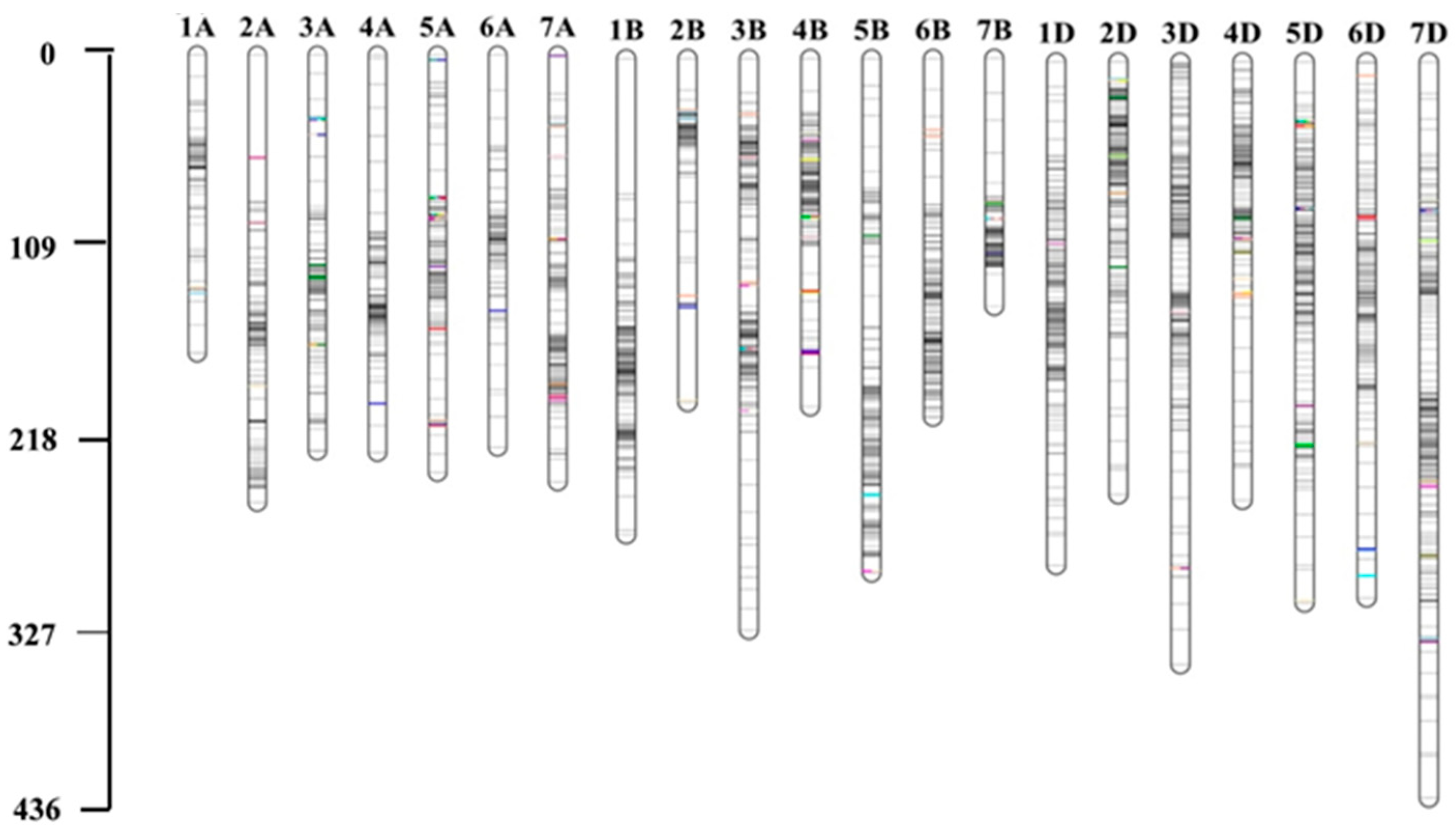 Preprints 91383 g003