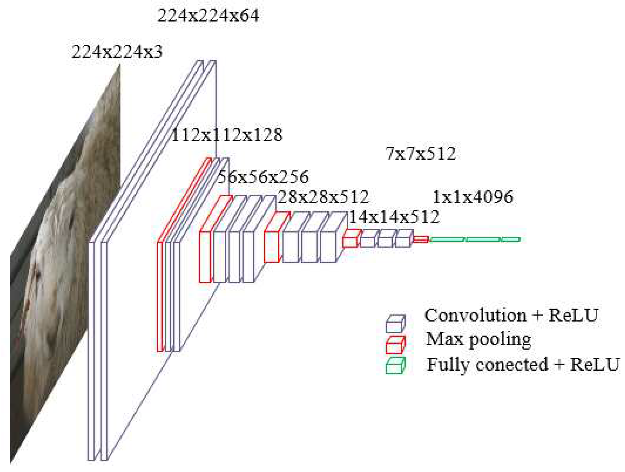 Preprints 81089 g006