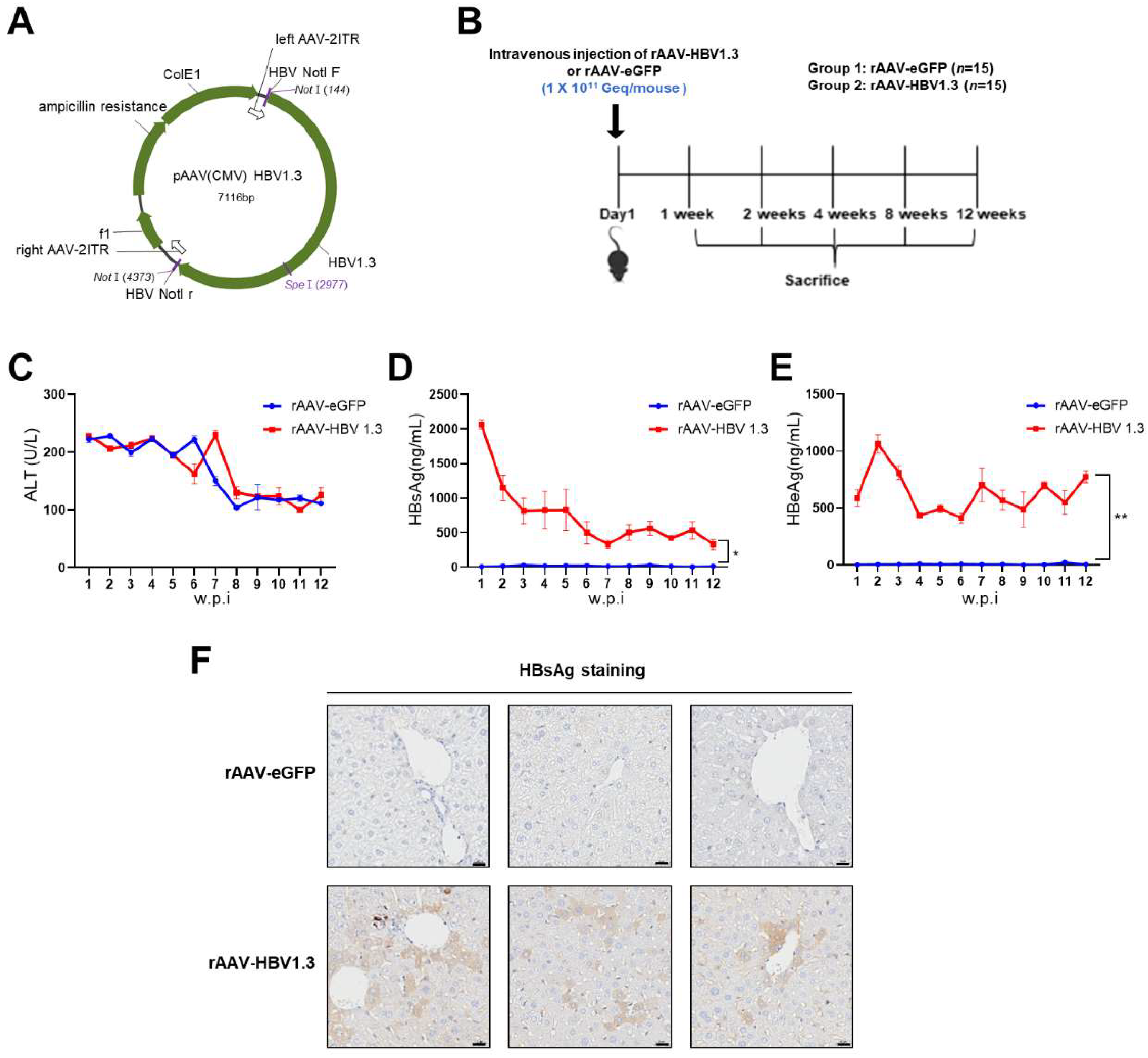 Preprints 120552 g001