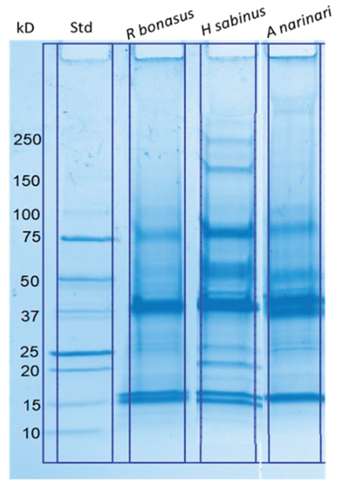 Preprints 100140 g001